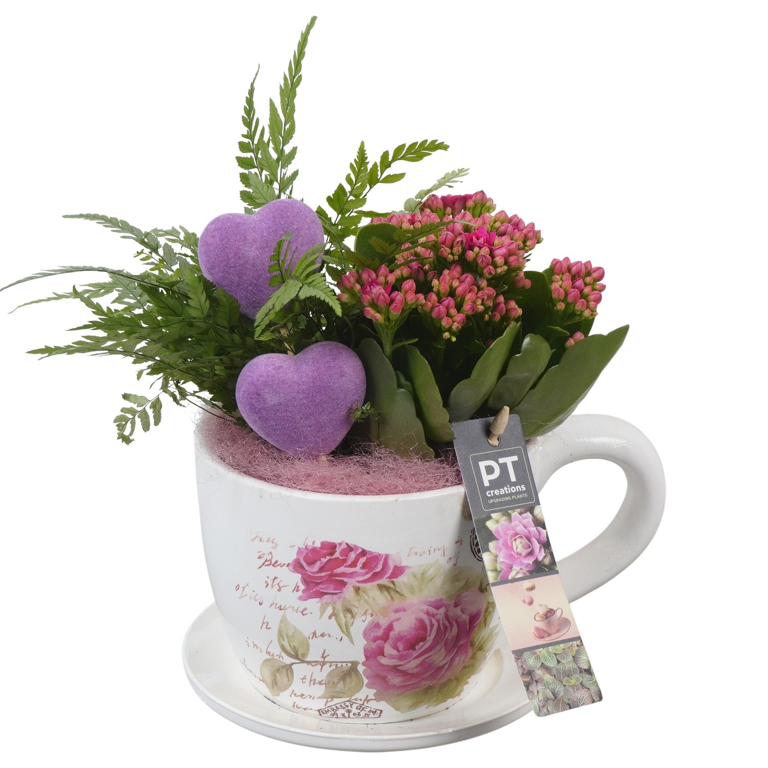 PTVMB2266 Arrangement Valentines-Mothersday in keramiek kop en schotel, D 14