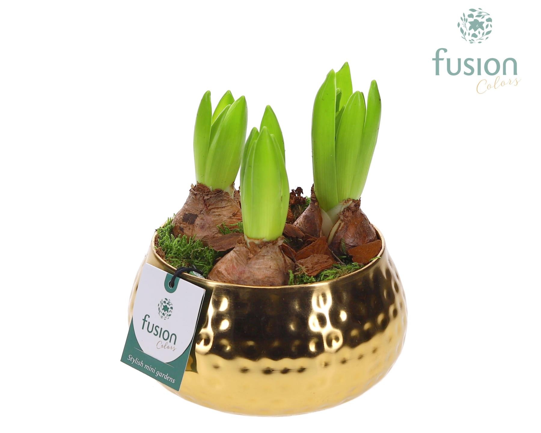 Schaal Indian metaal goudkleurig met Hyacinthus, D 15