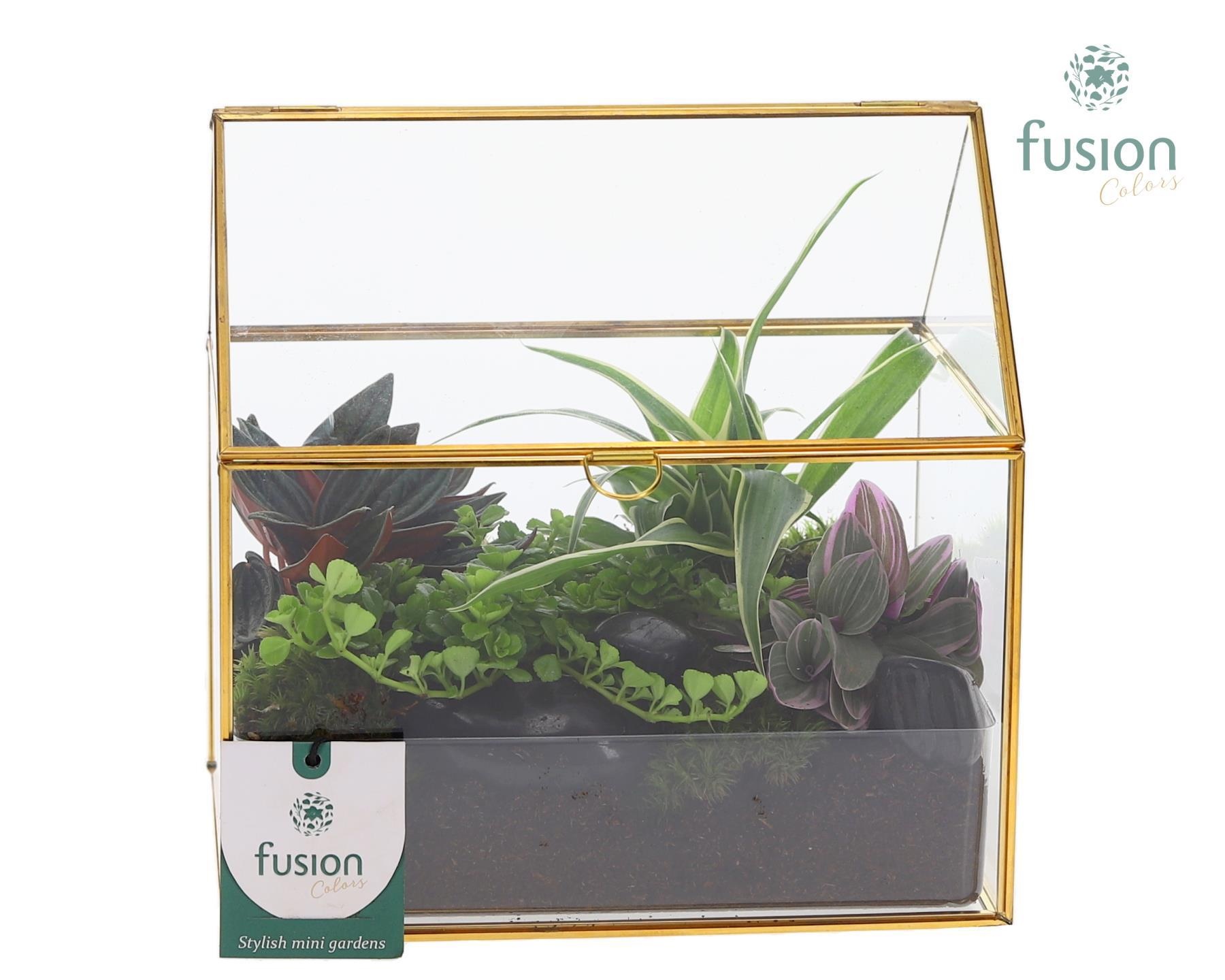 Glazen huis met arrangement, D 15