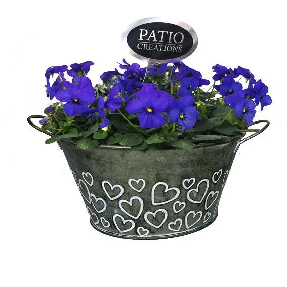 V763-9323 Viola Green Love zink rond, D 22