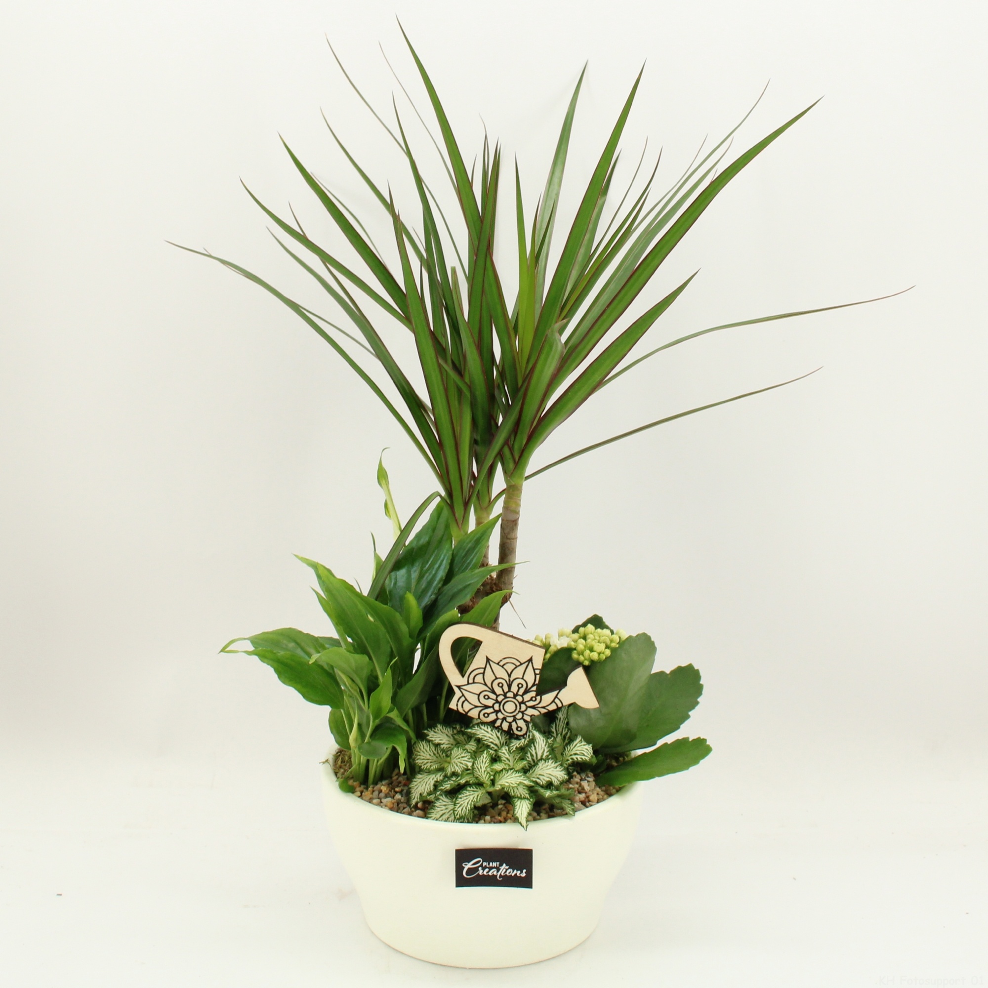 FDCR-2609W Basic Fundamentals, D 19