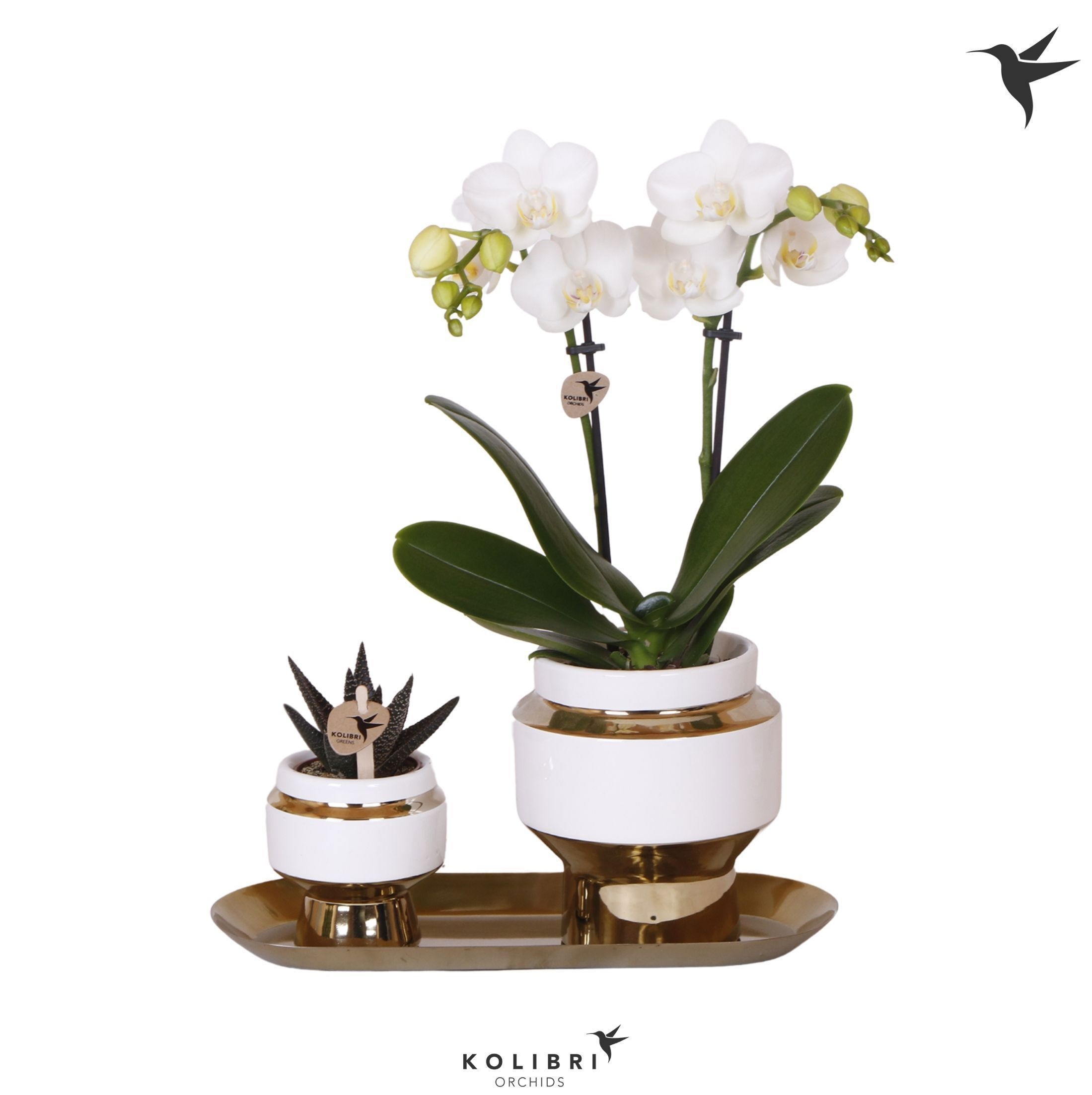 Kolibri Gift Set small Le Chic gold, D 18