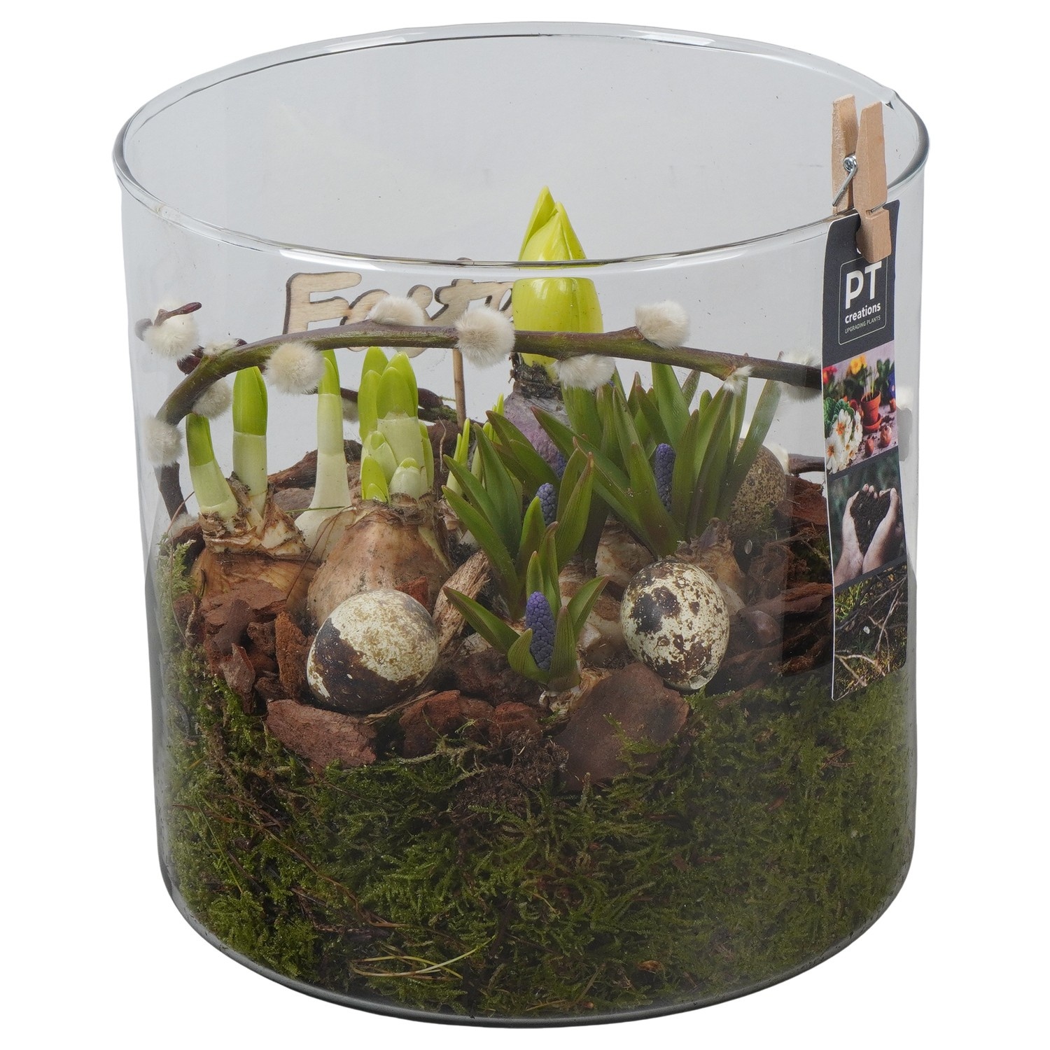 PTBMP5757 Arrangement Easter Bulbs Mix in glazen vaas, D 19