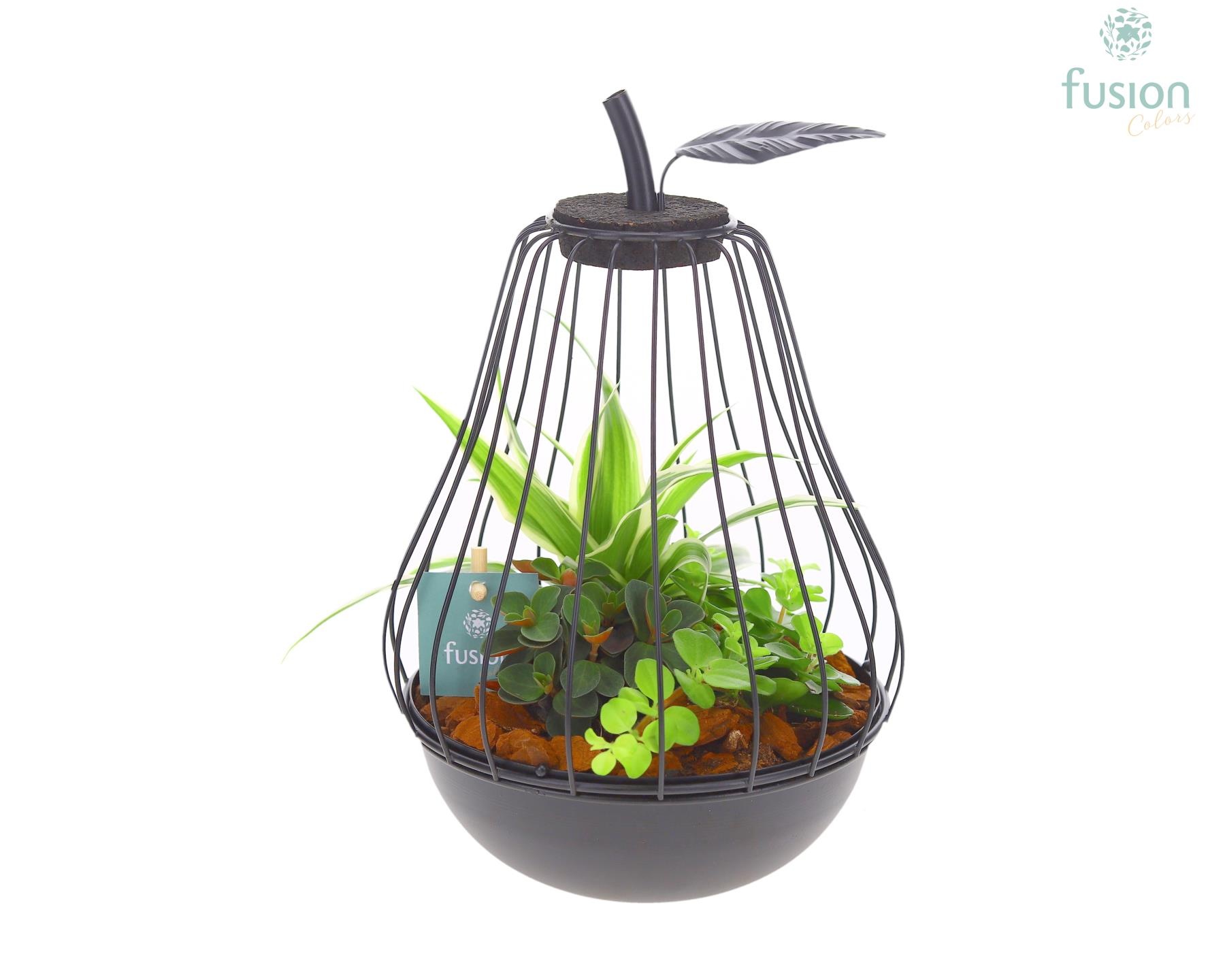 Peer metaal zwart Small met arrangement, D 17