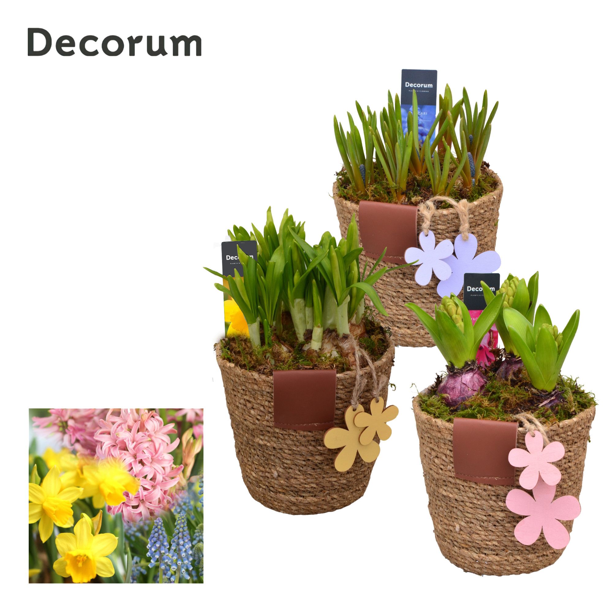 Bollenmix Basket & Leather Label HL12983B, D 13