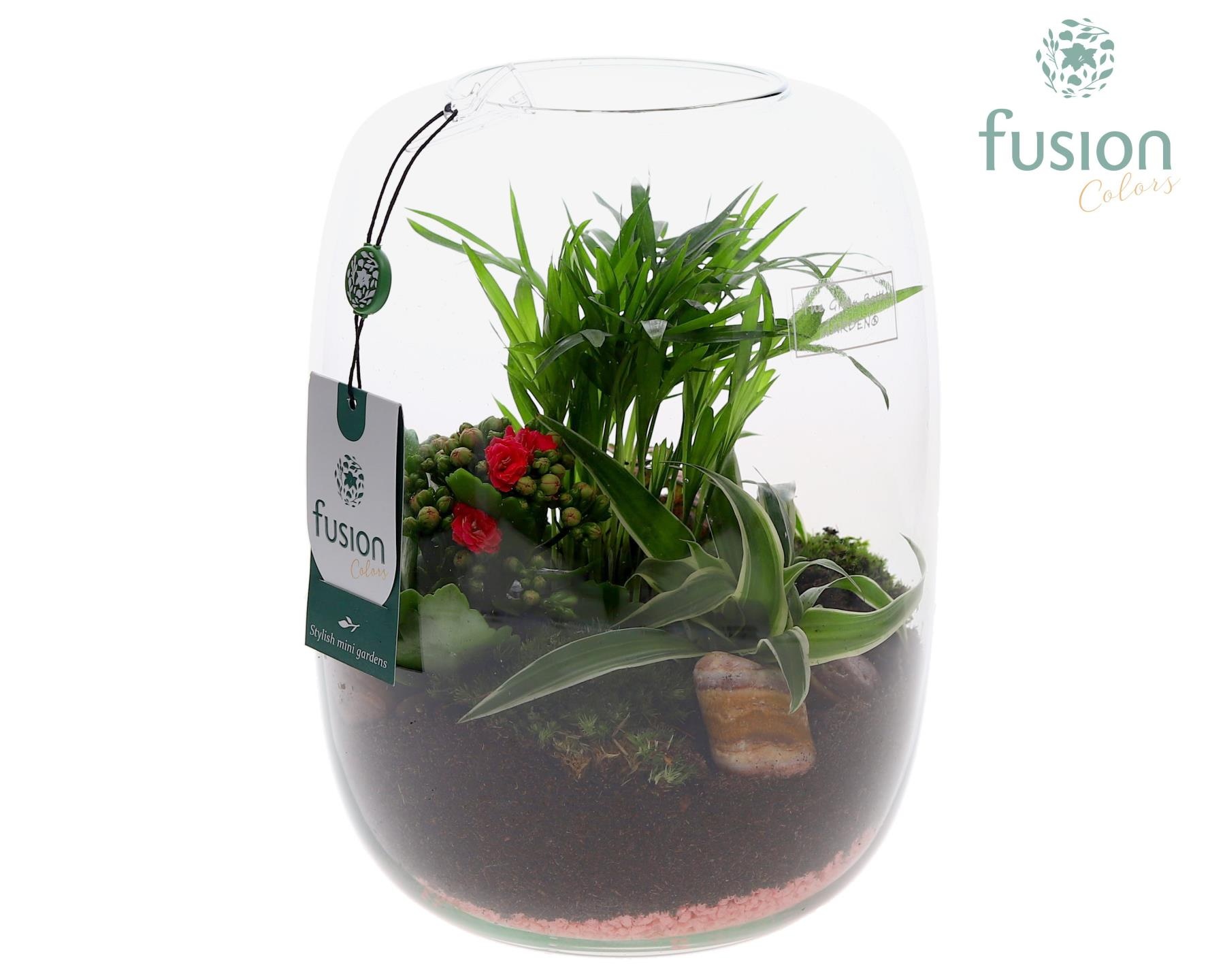 Green Bottle Isabella Large Love met arrangement, D 19