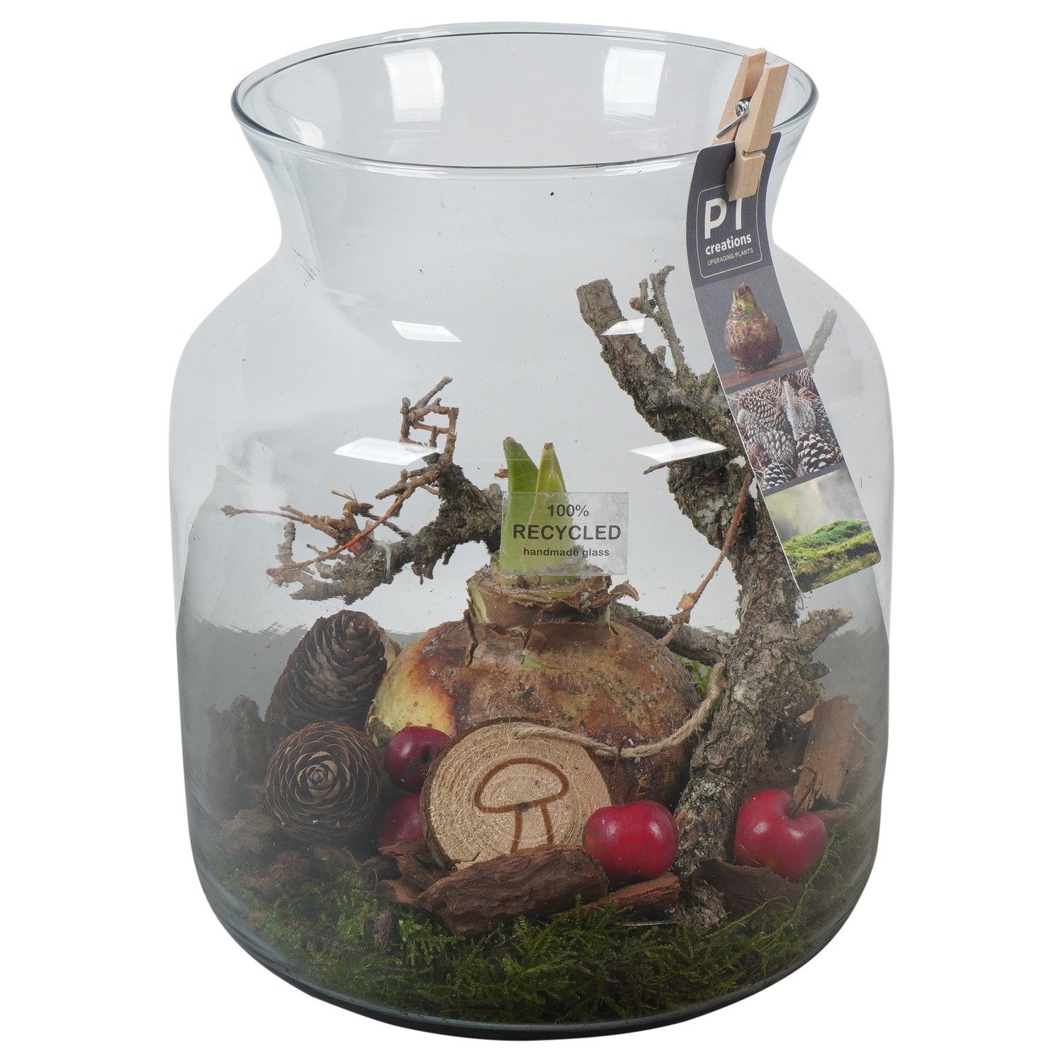 PTAA7593 Arrangement Amaryllis in glazen vaas, D 19 cm