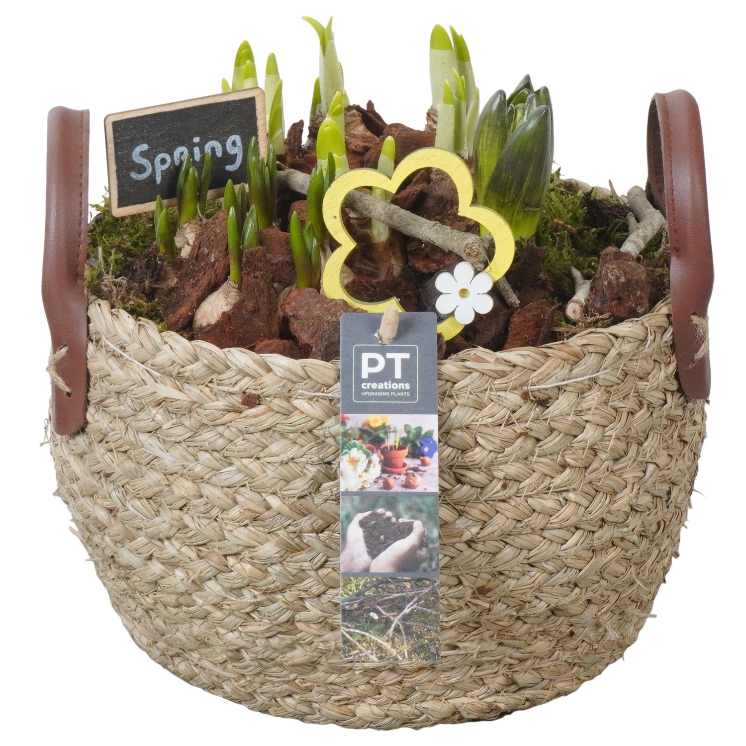 PTBM3818 Arrangement Flower Bulbs Mix in rieten mand, D 20