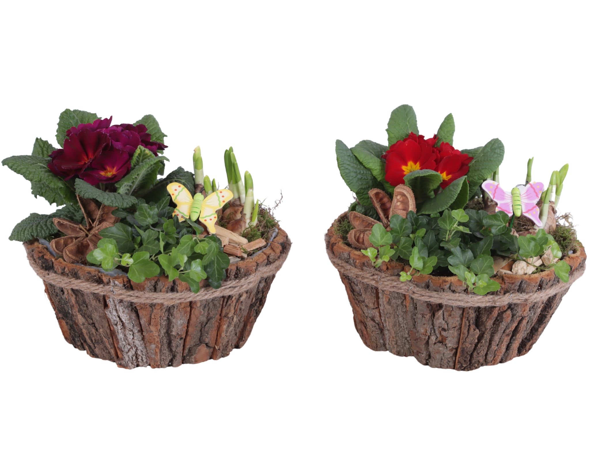 Early Spring Arr. Outdoor Wooden Natural Bark Pot Rope Ø24cm 3PP, D 24