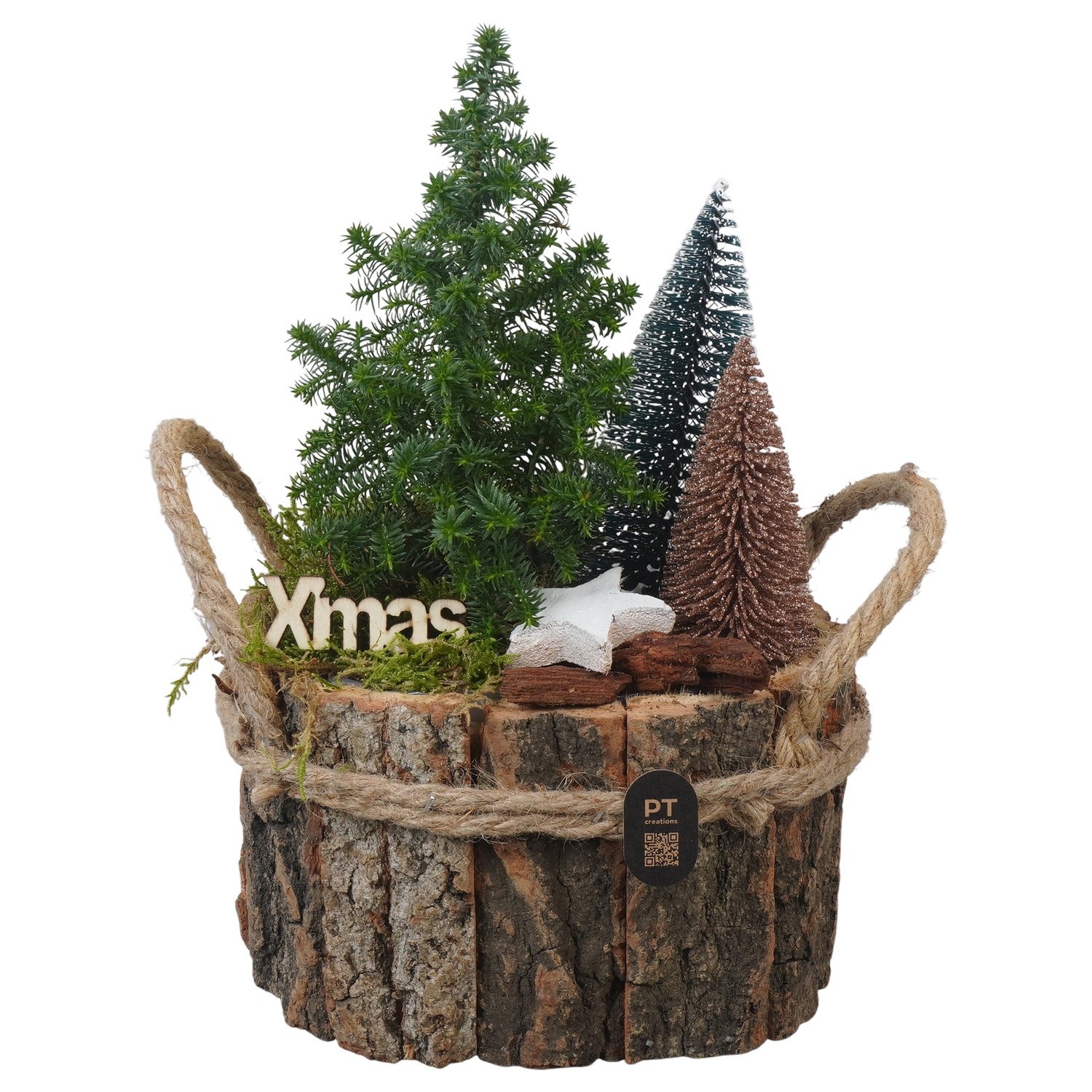 PTCWW7756 Arrangement Winter in houten bak, D 17