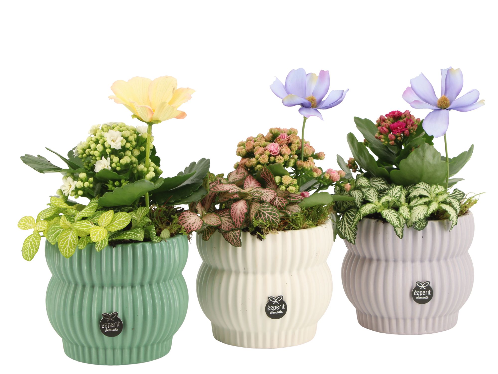 11560: Consideration arrangement, D 12 cm