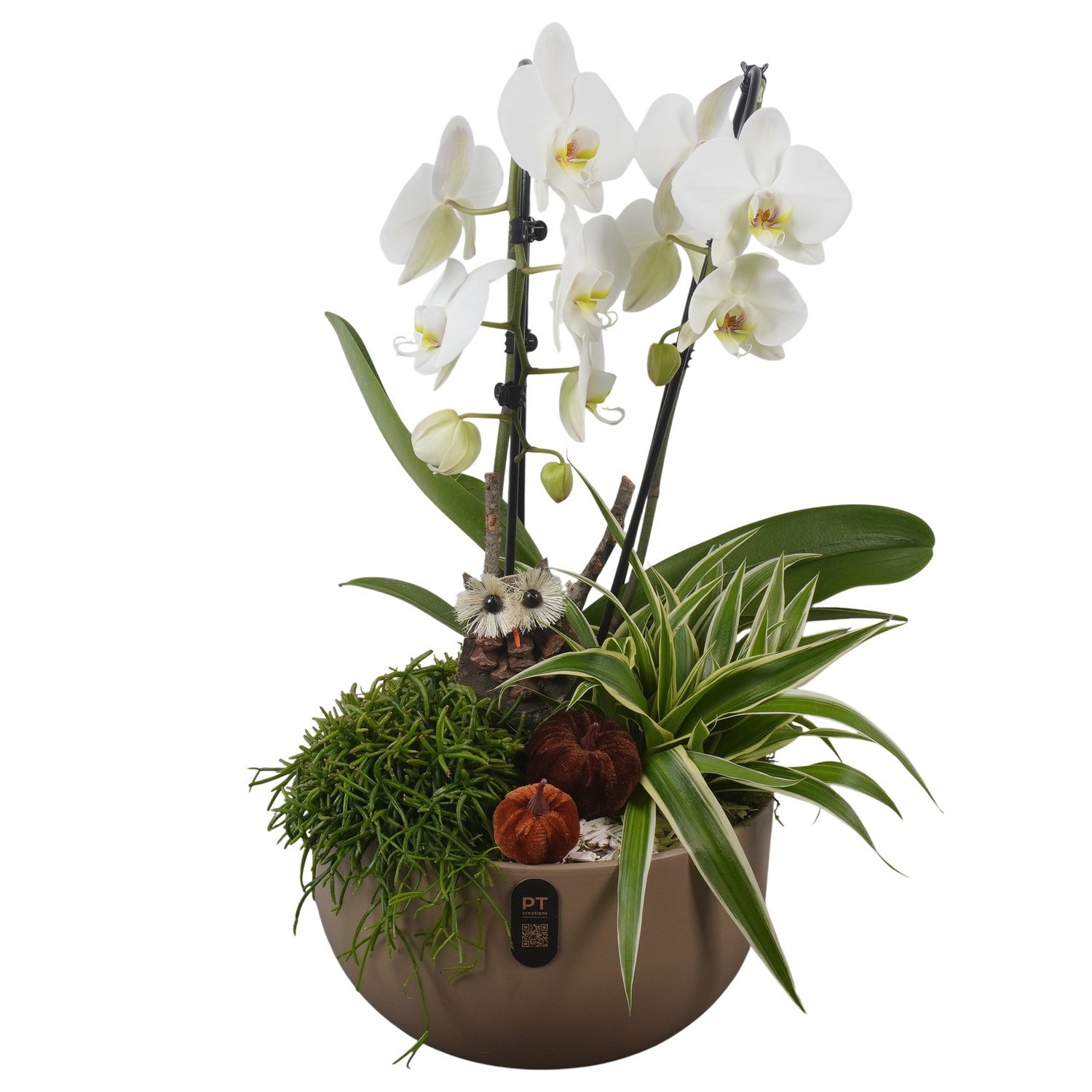 PTHI3253 Arrangement Autumn Indoor in keramiek schaal, D 26