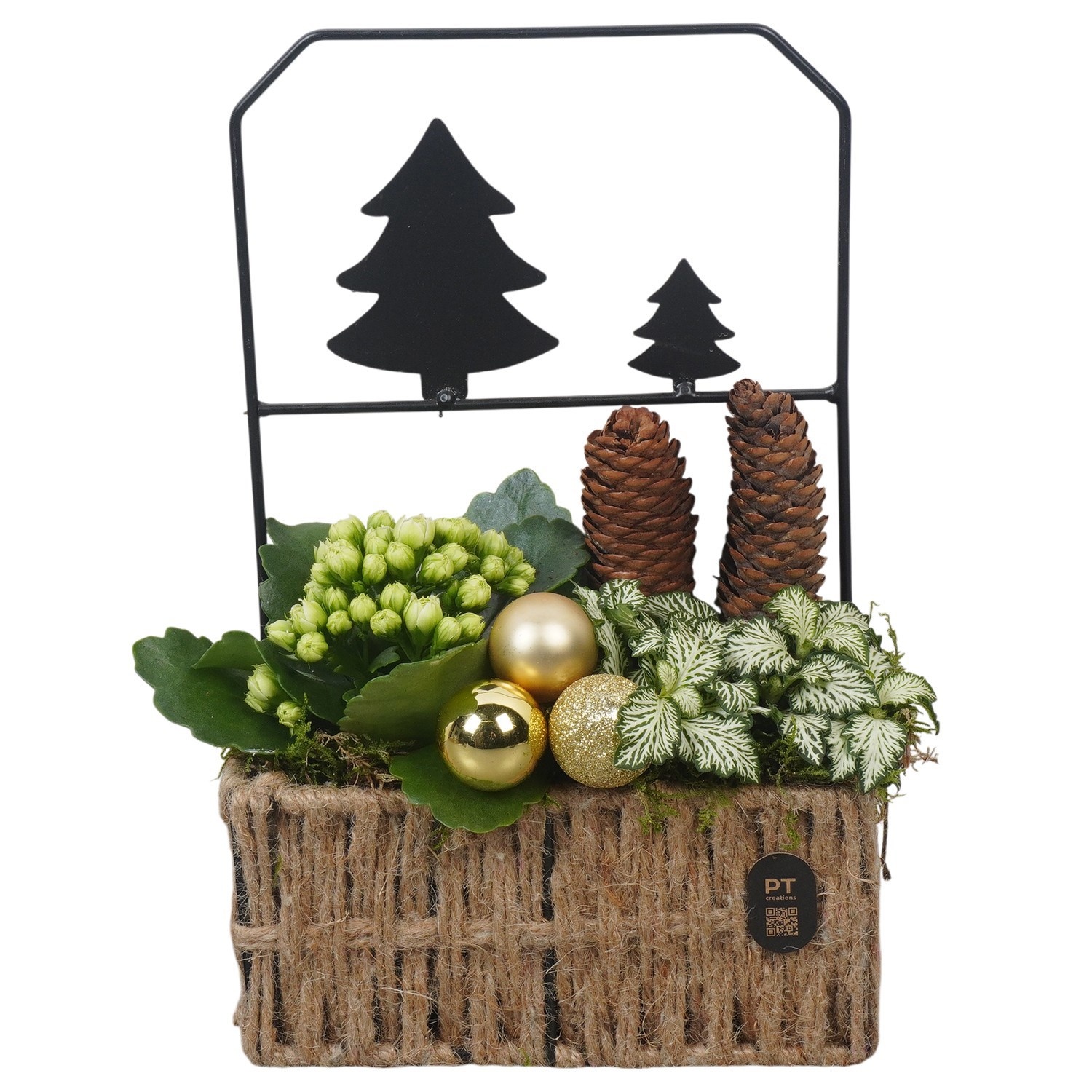 PTCHG4704 Arrangement Christmas Gold in touw pot met metaal, D 17