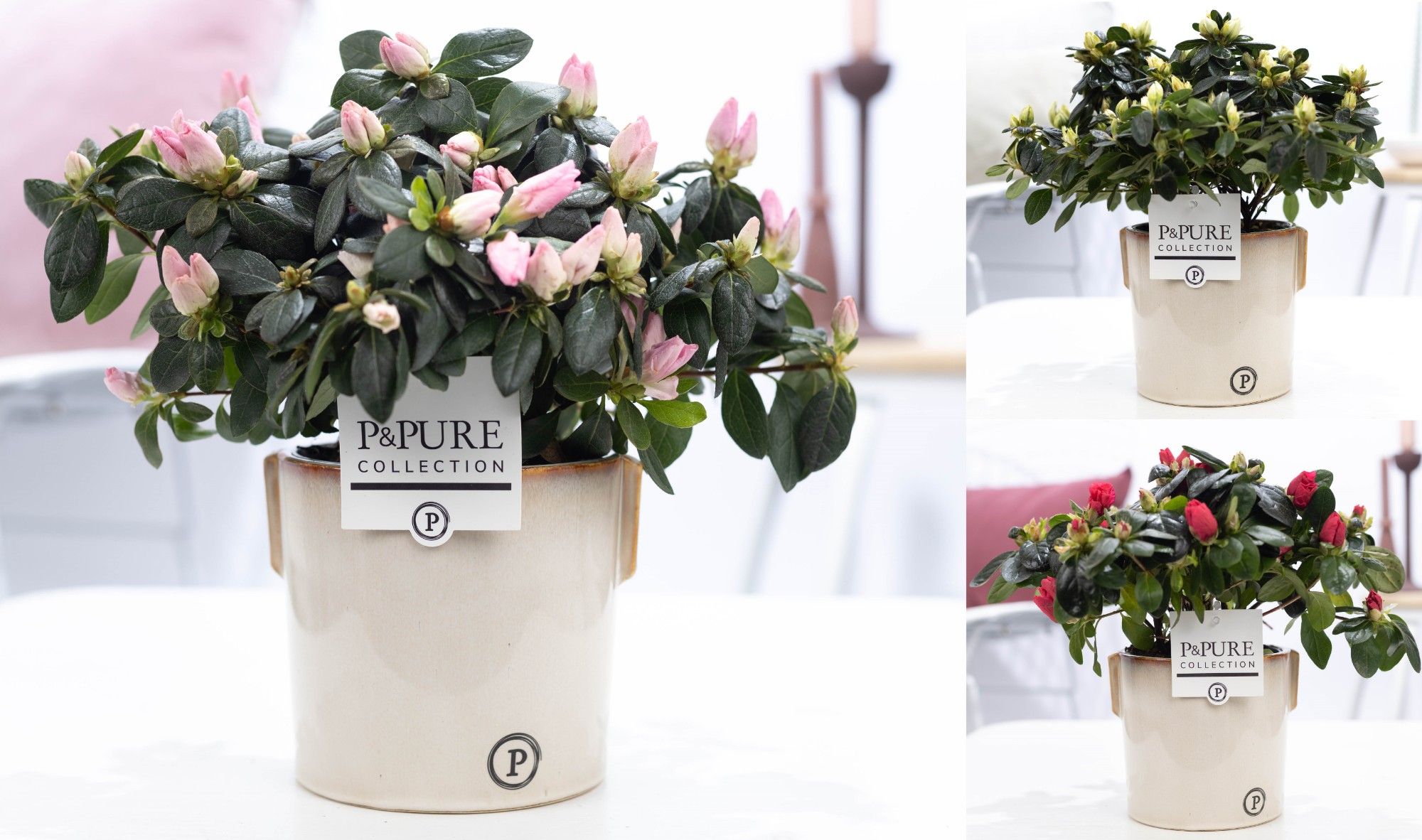 Azalea P&PURE Collection Lauren keramiek, D 12 cm