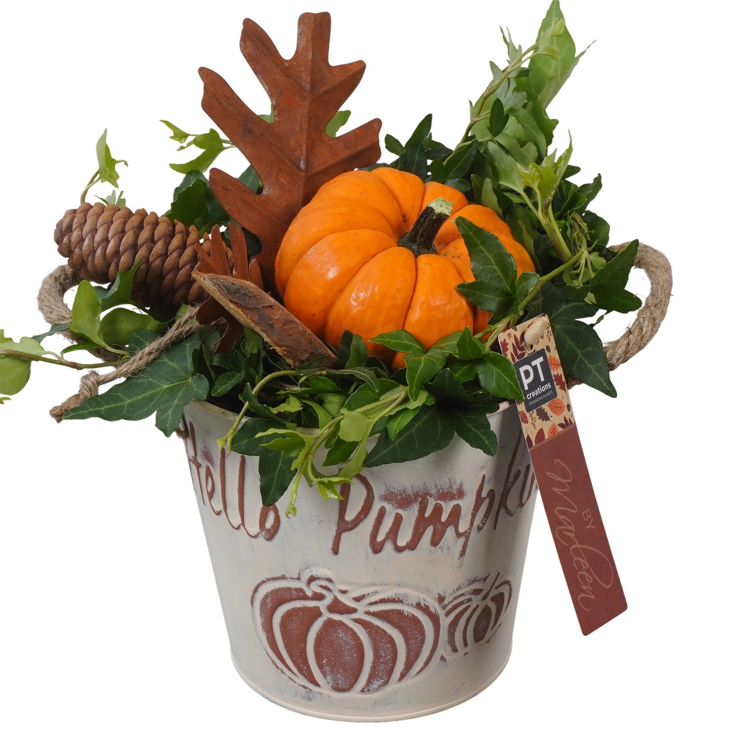 PTSF8221 Arrangement Kalebas hedera in metalen pot, D 16 cm