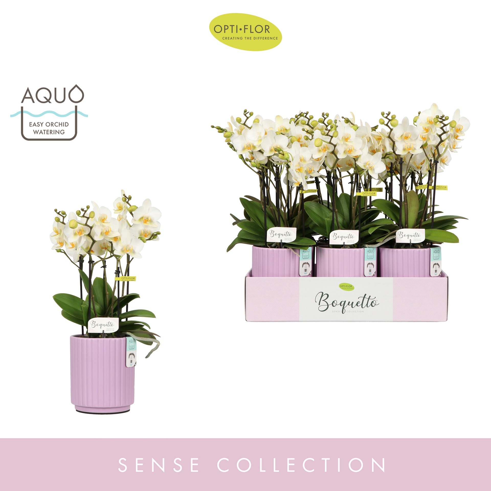 Boquetto Beauty 3-5 spike in Molise Lilac Aquo, D 12 cm