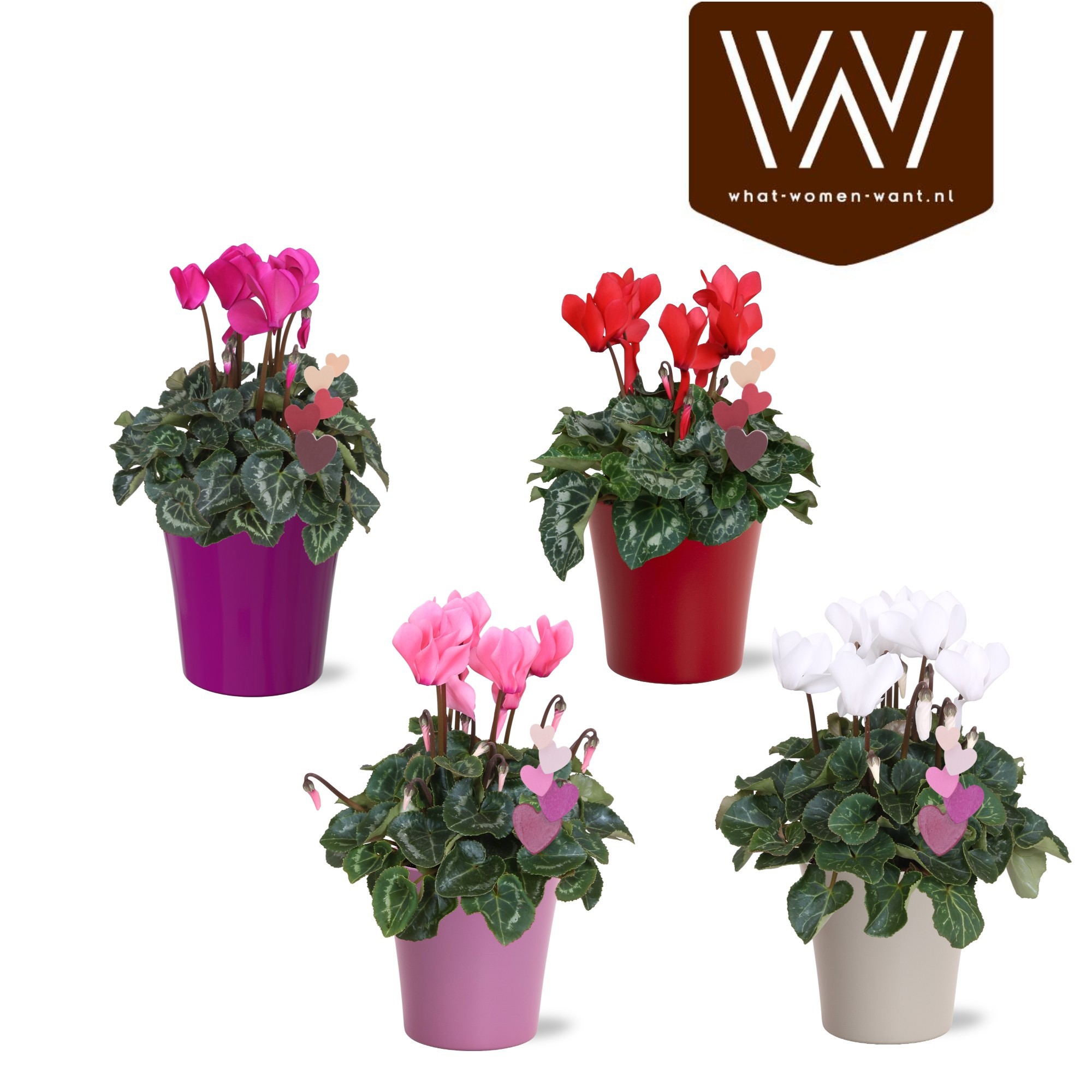 Cyclamen in Bombé" keramiek met staande Bijsteker (Valentijn), D 14