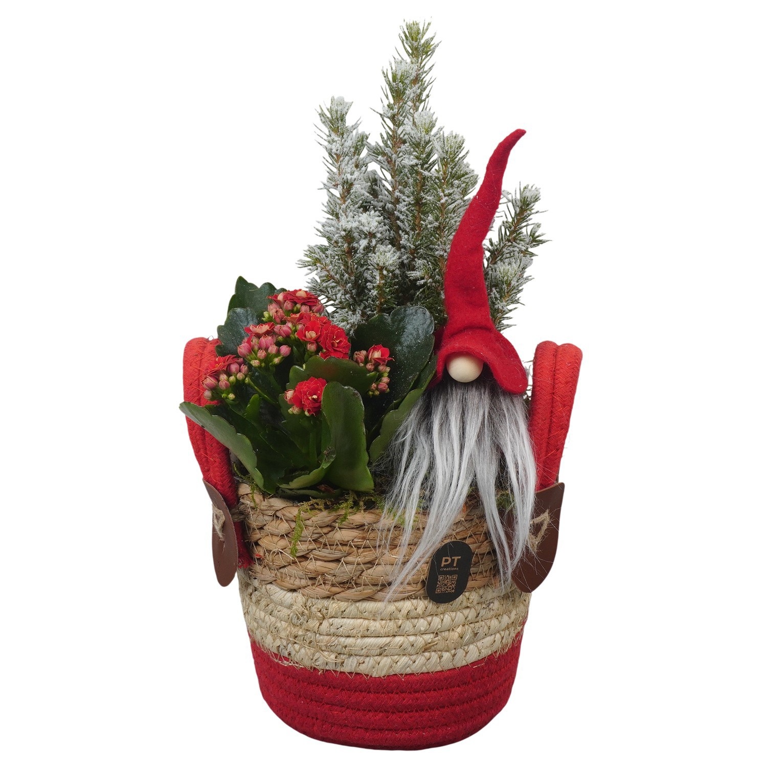 PTCHR9620 Arrangement Christmas Red in rieten mand, D 13
