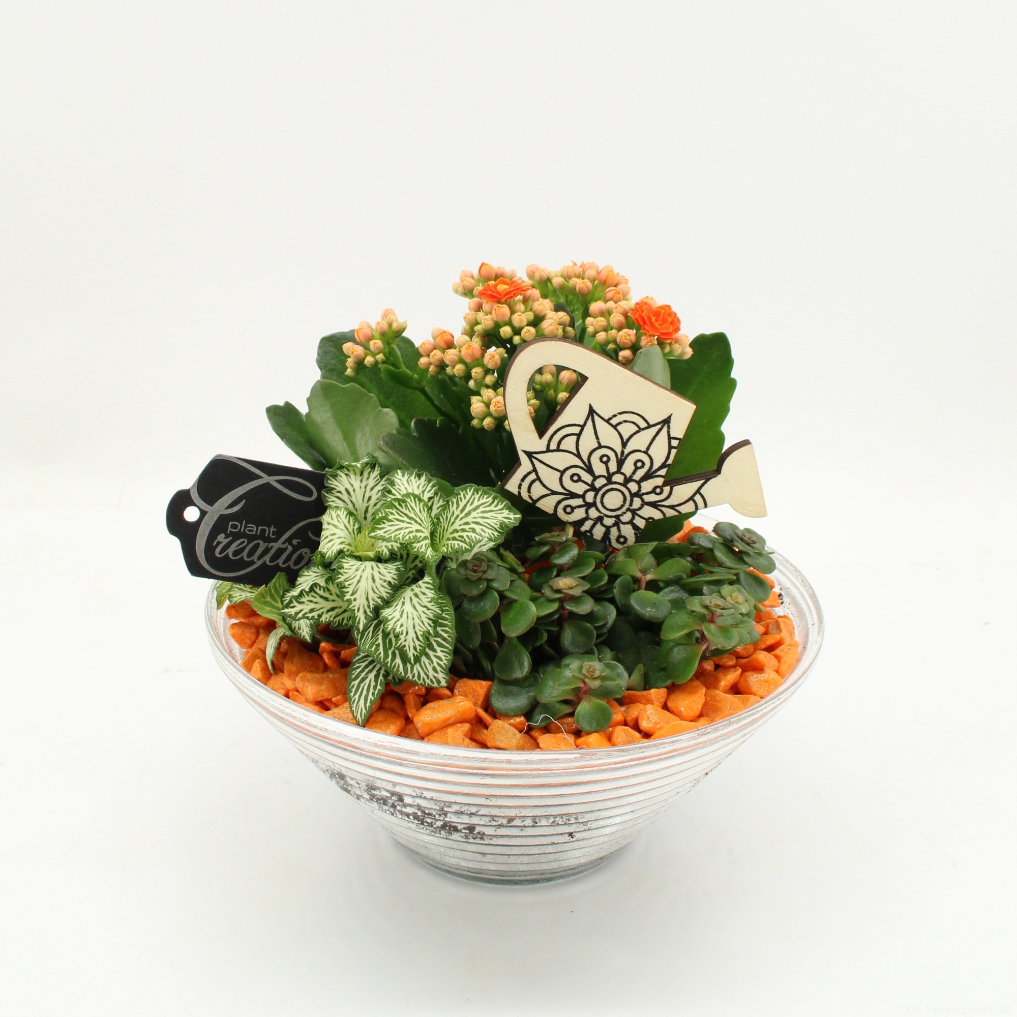 FDCR-2601OR Basic Fundamentals, D 20