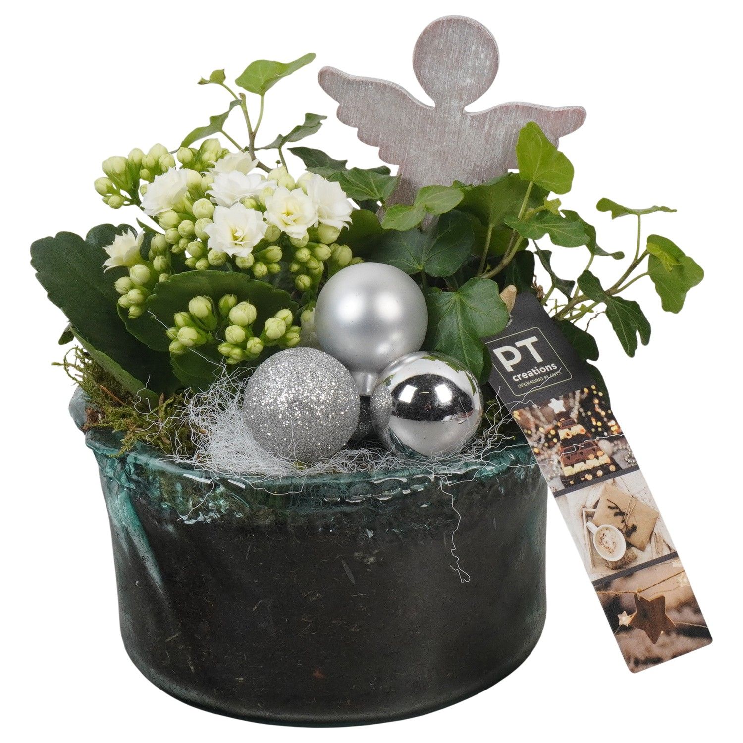 PTCHW4364 Arrangement Christmas White in glas schaal, D 14 cm