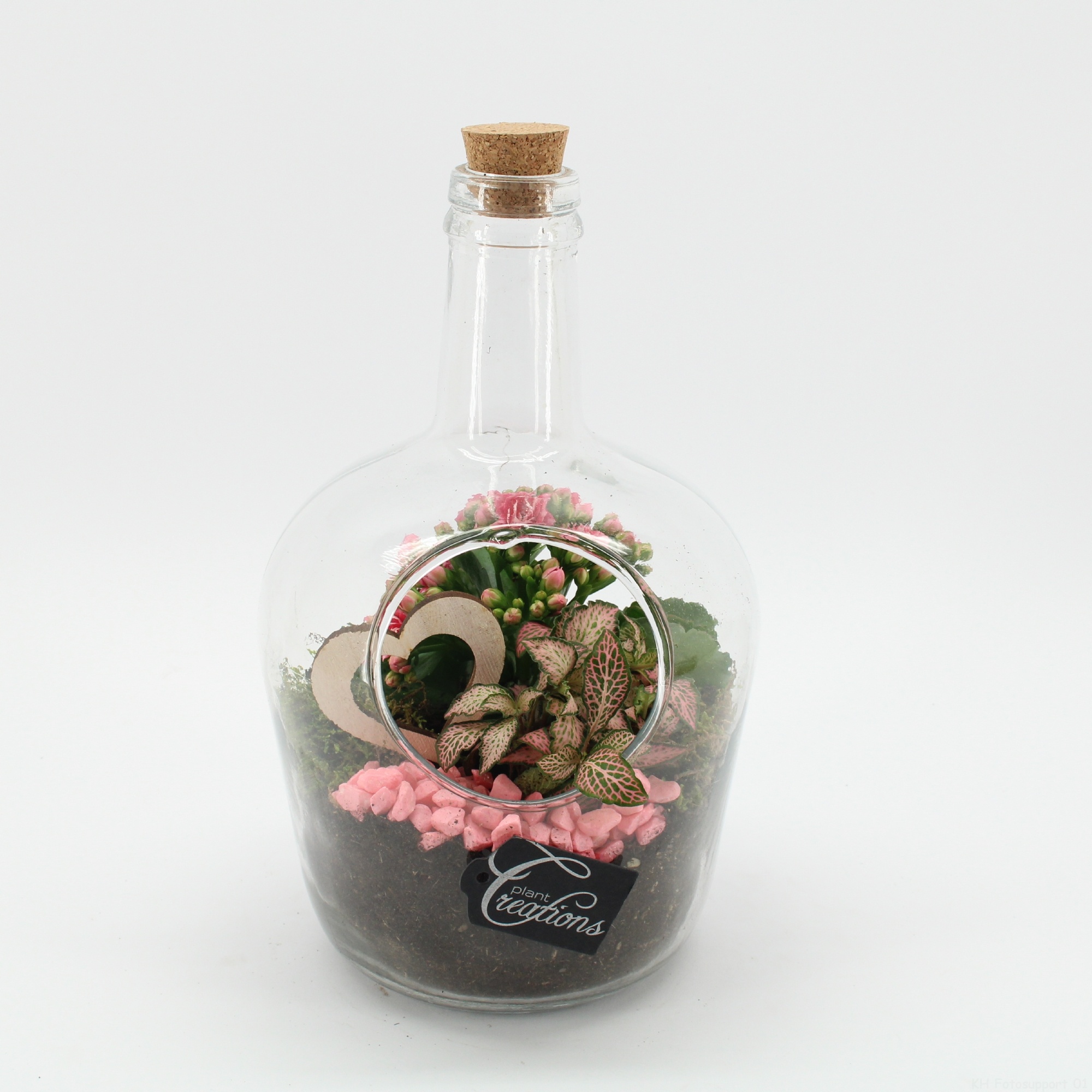 ENMD-2616 English Mother's day, D 18