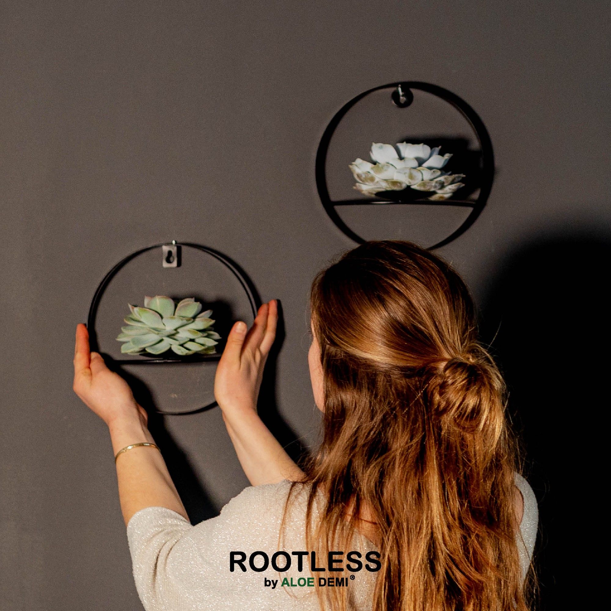 ROOTLESS Echeveria, Black metal for wall, D 22