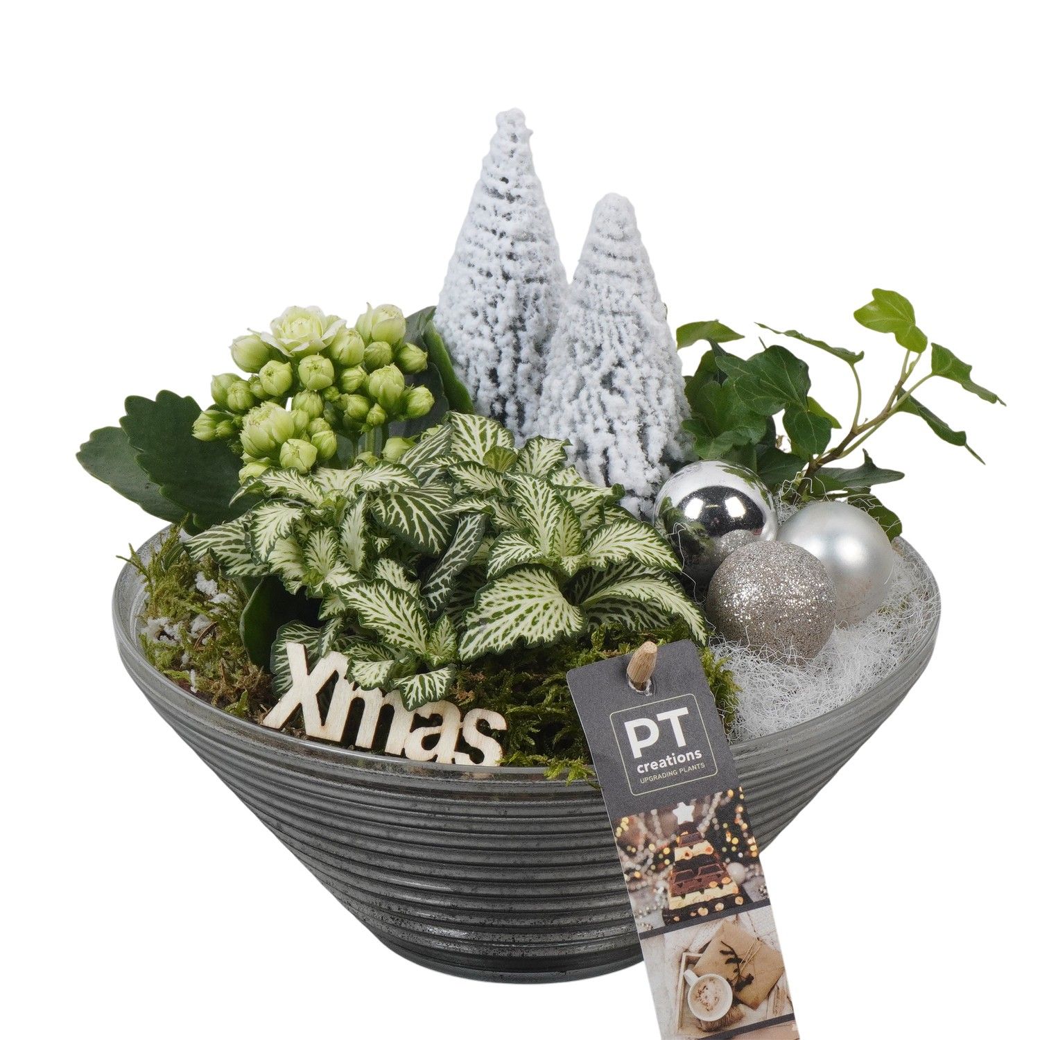 PTCHW4352 Arrangement Christmas White in glas schaal, D 19 cm