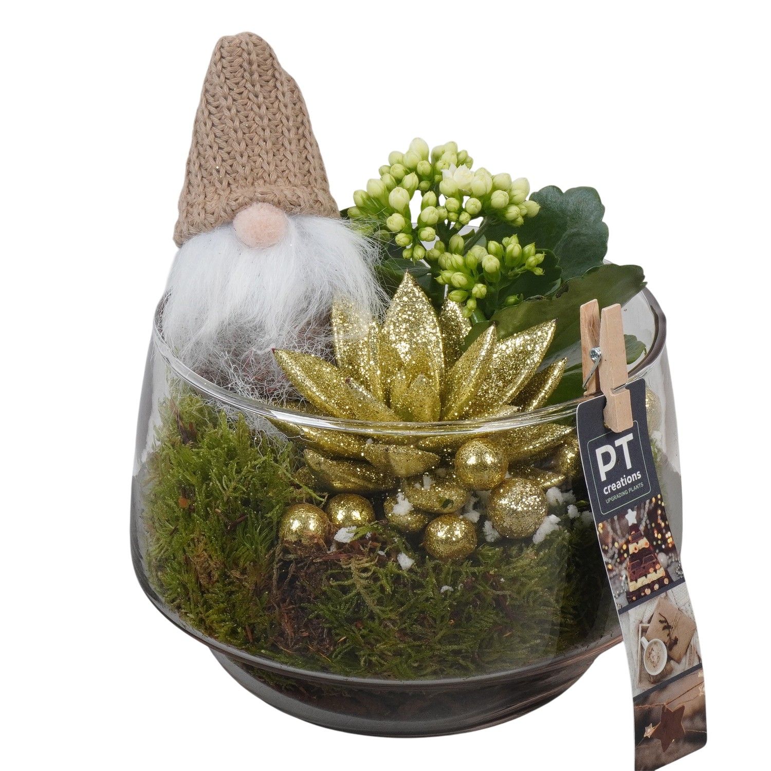 PTCHG5737 Arrangement Christmas Gold in glazen pot, D 17 cm