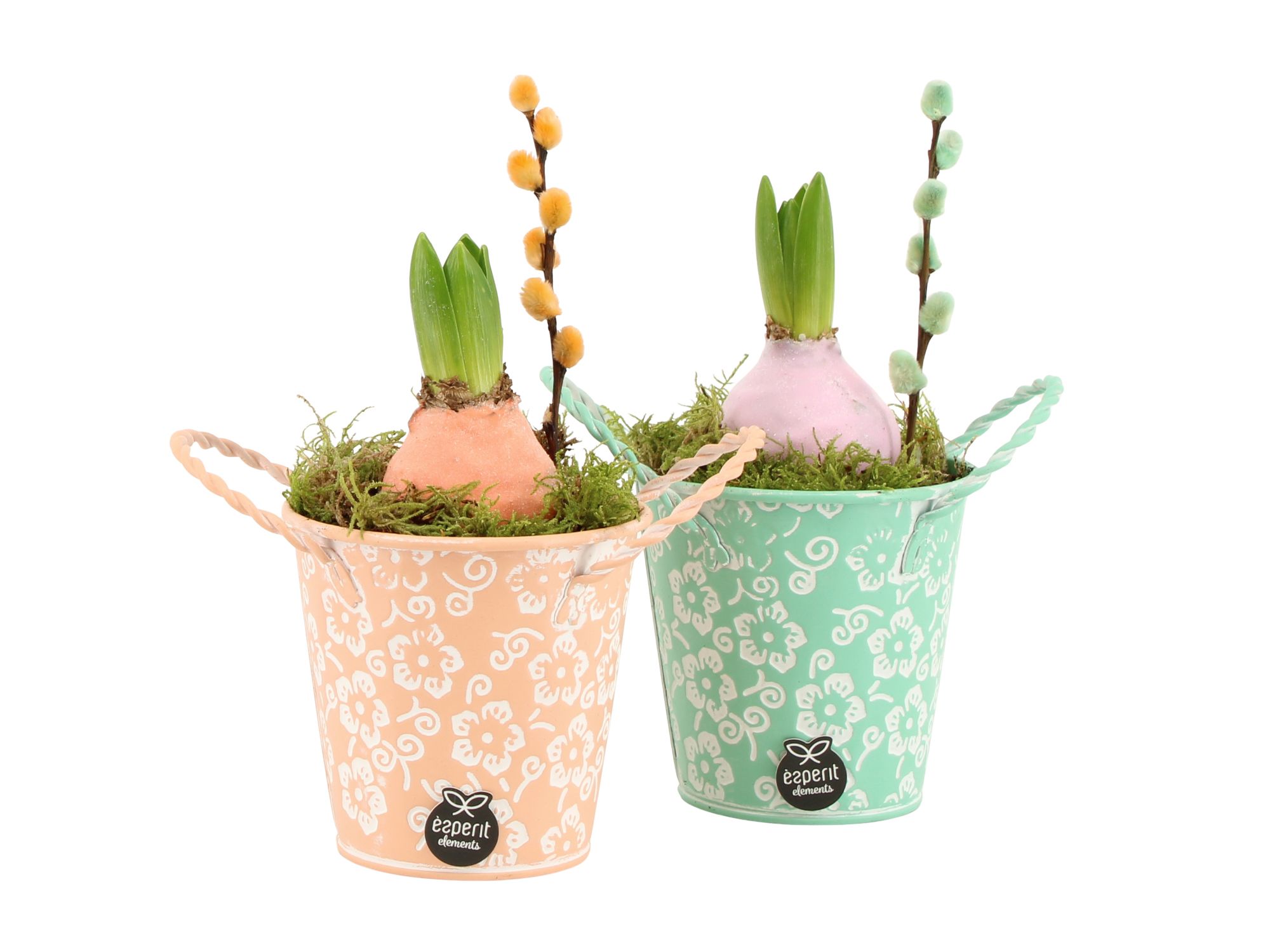 11642: Outdoor spring arrangement, D 10