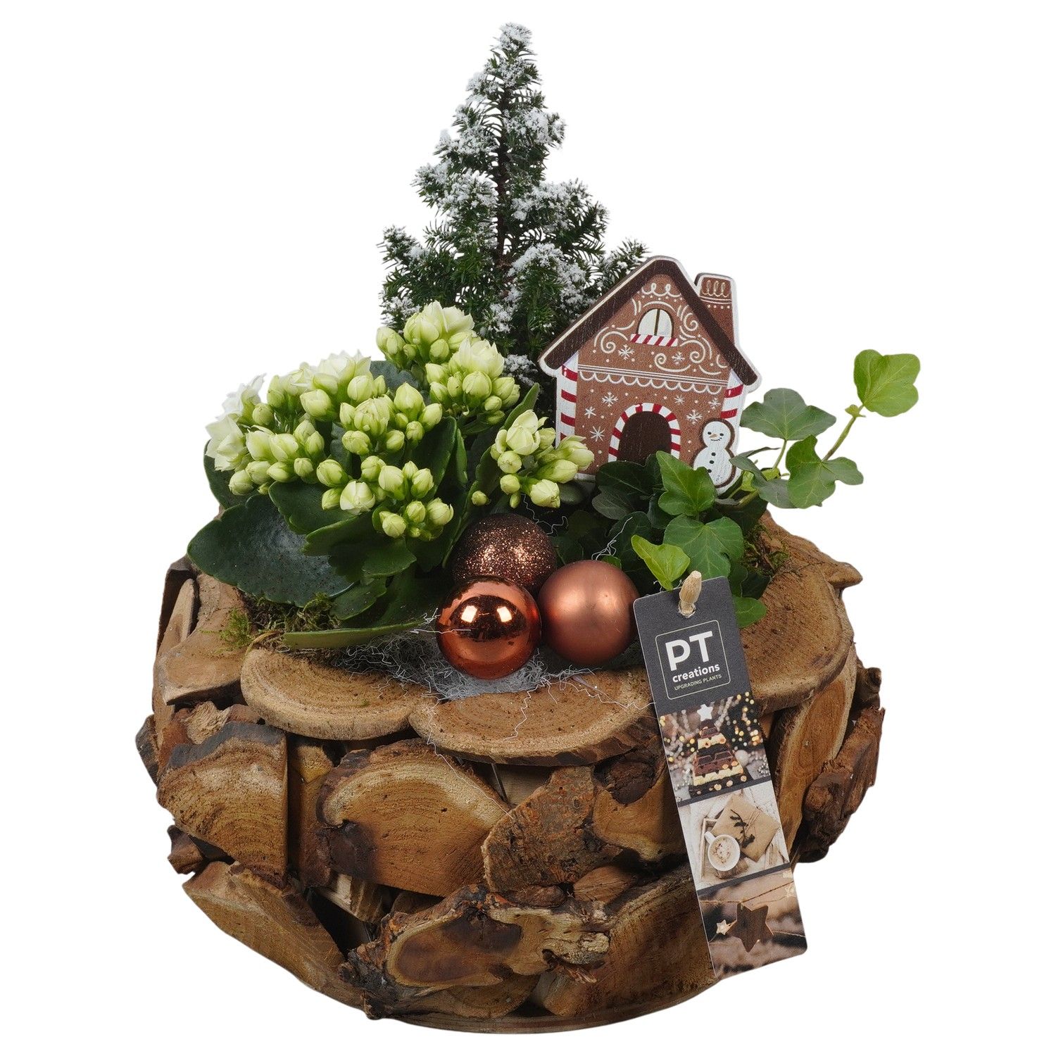 PTCHB9815 Arrangement Christmas Bronze in houten pot, D 24 cm