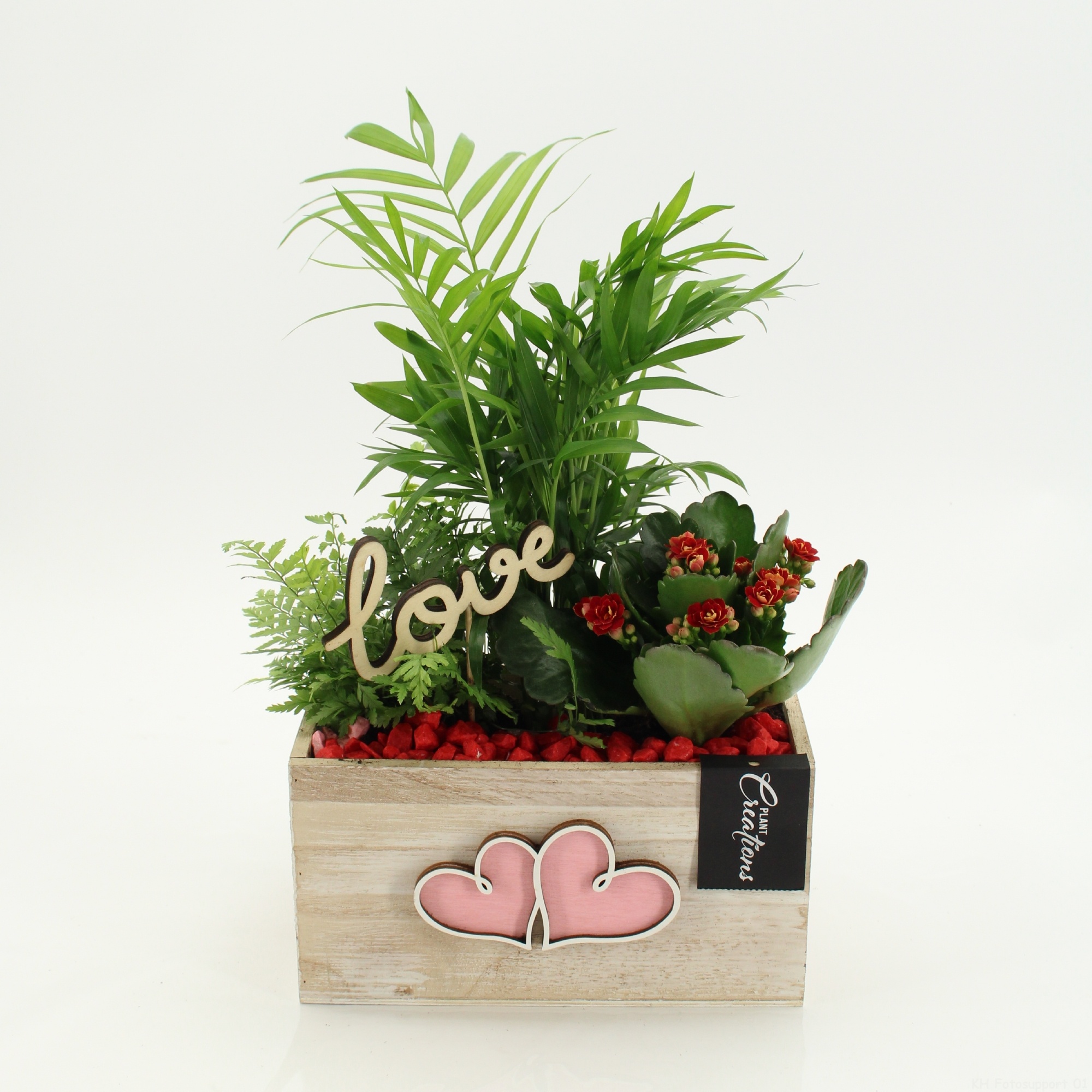 RMCR-2623R Romantic Essentials, D 20