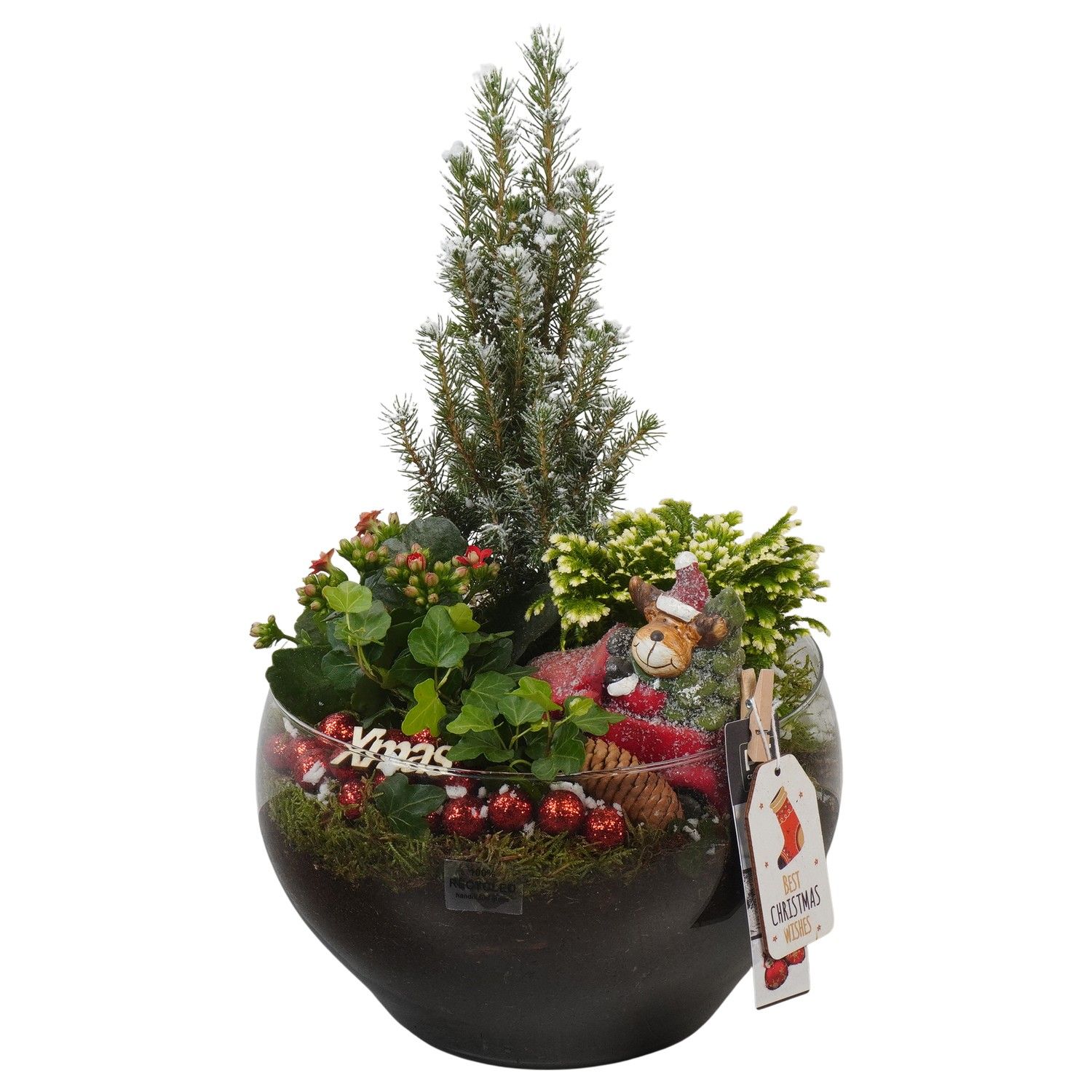 PTCHR7481 Arrangement Christmas Red in glas schaal, D 23 cm