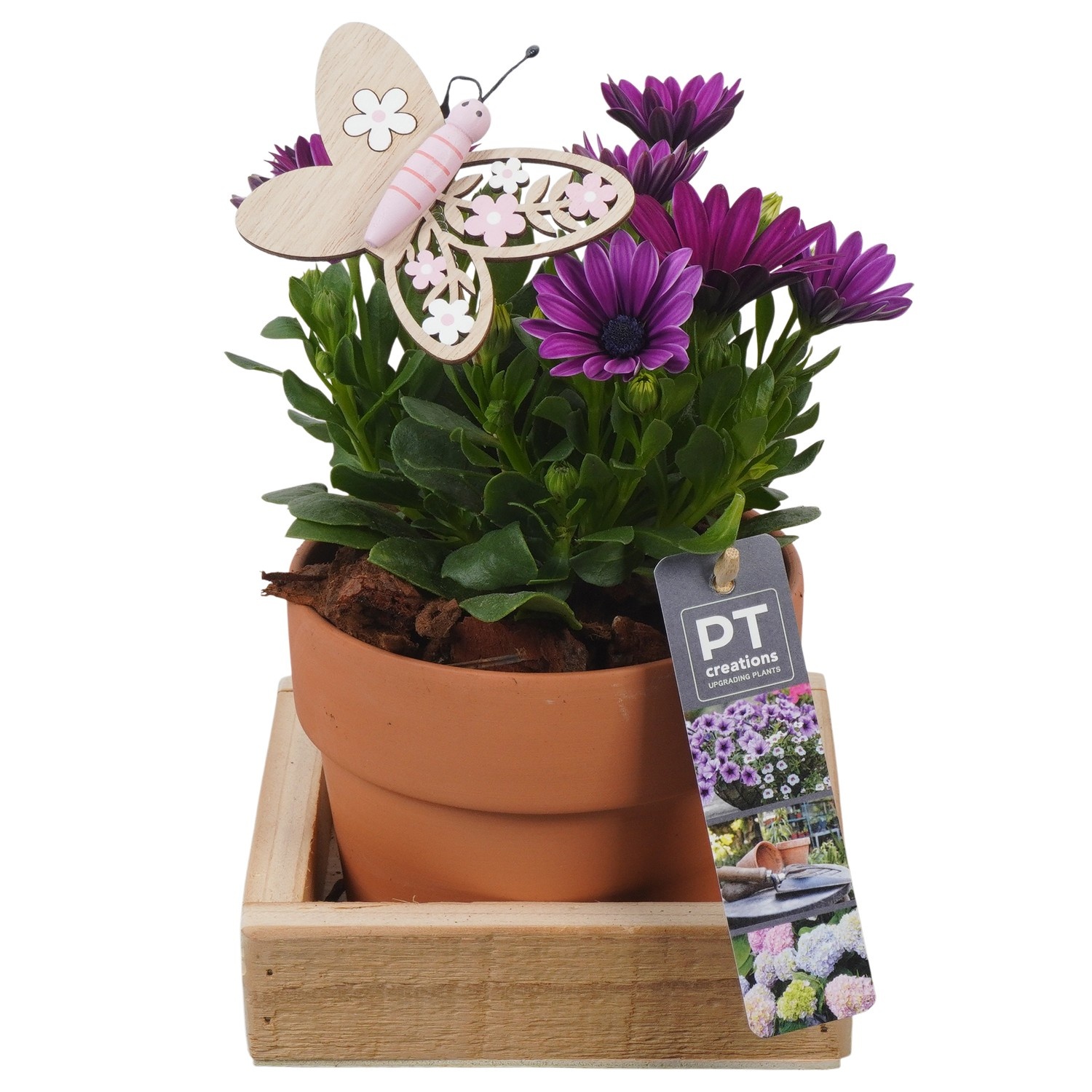 PTPP6918 Arrangement Patio in terracotta pot met hout, D 14