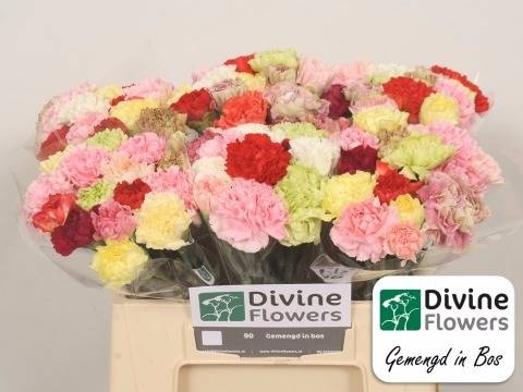 Диантус од. Микс в пачке, шт.