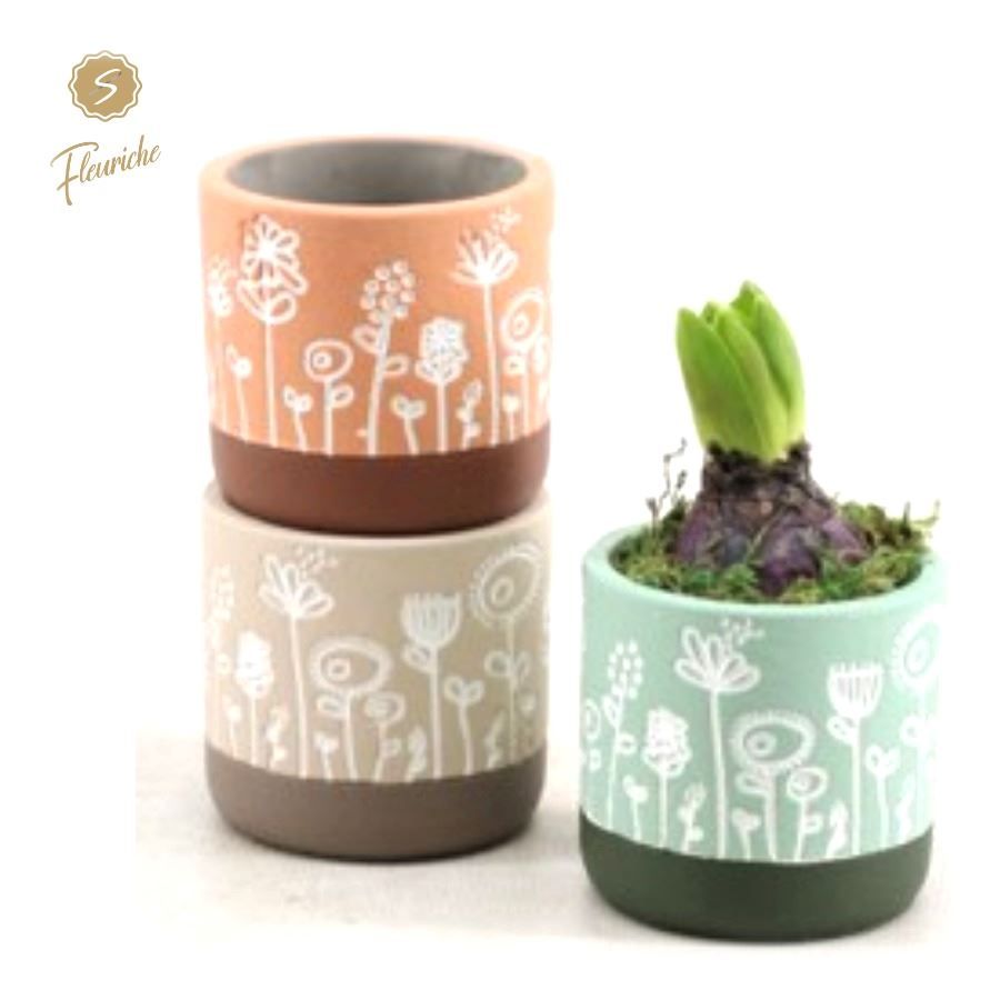 (1403) Hyacint Flower Time (M) Mos, D 7 cm