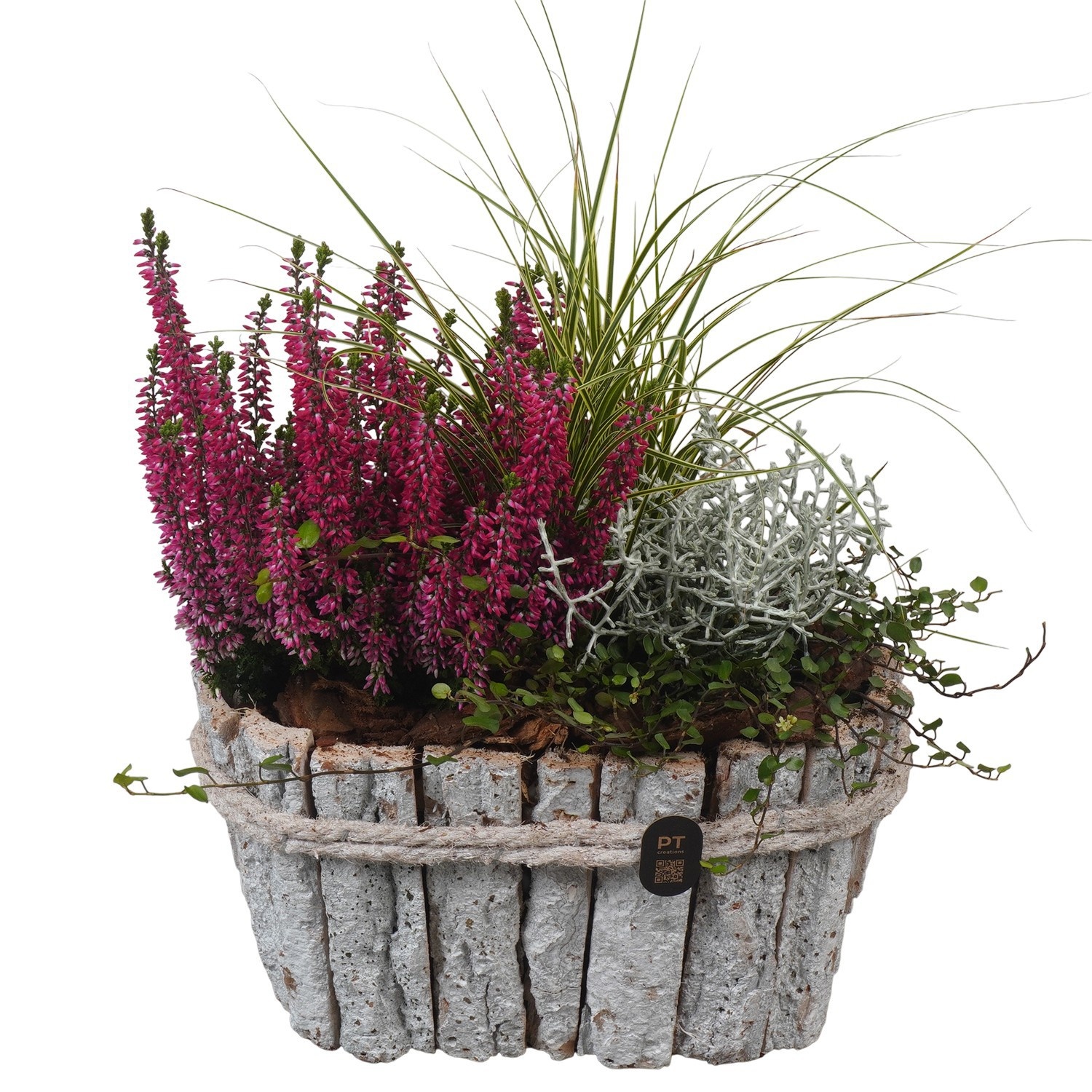 PTHO7666 Arrangement Autumn Outdoor in houten bak, D 23