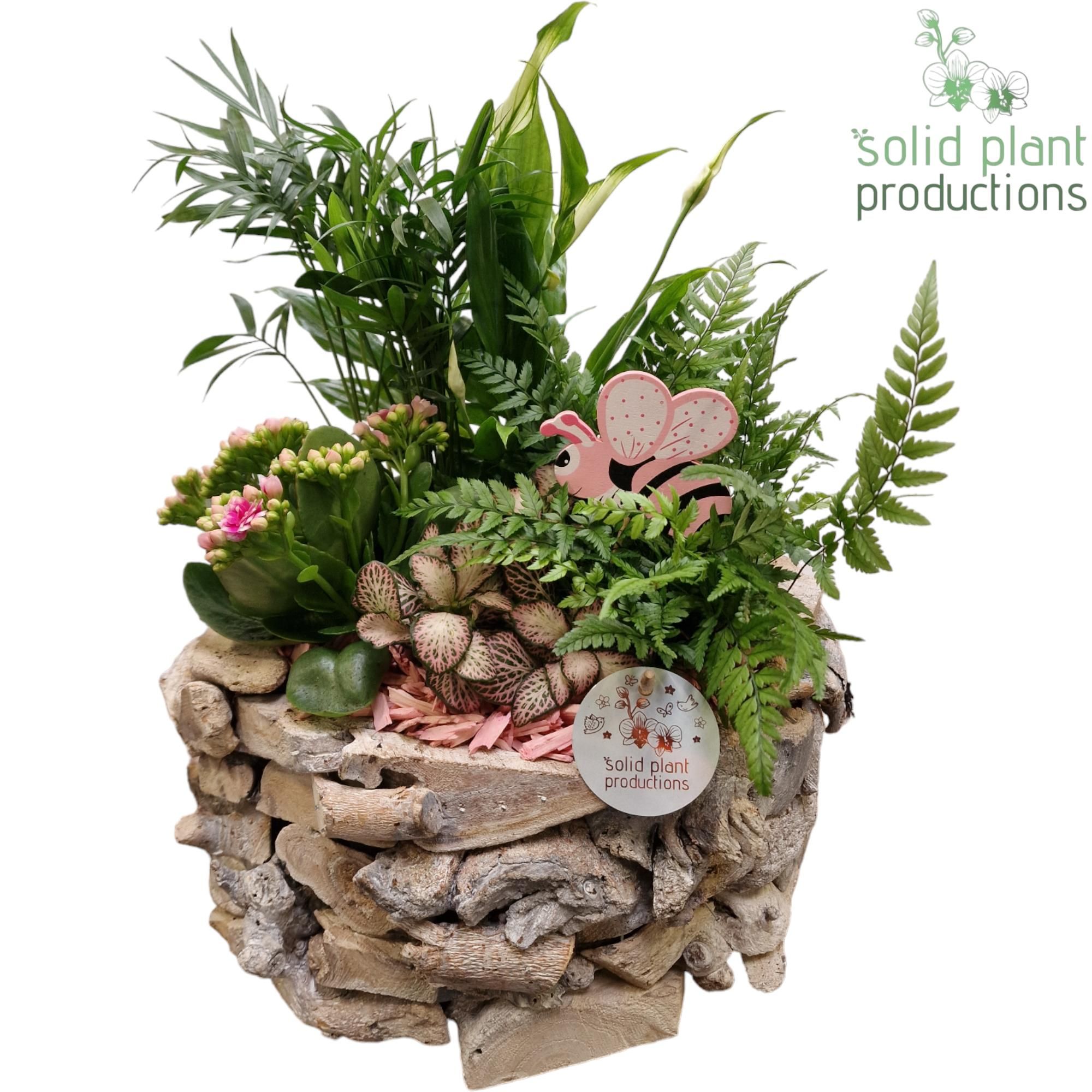 SC013 Driftwood Round White Washed Pink, D 31