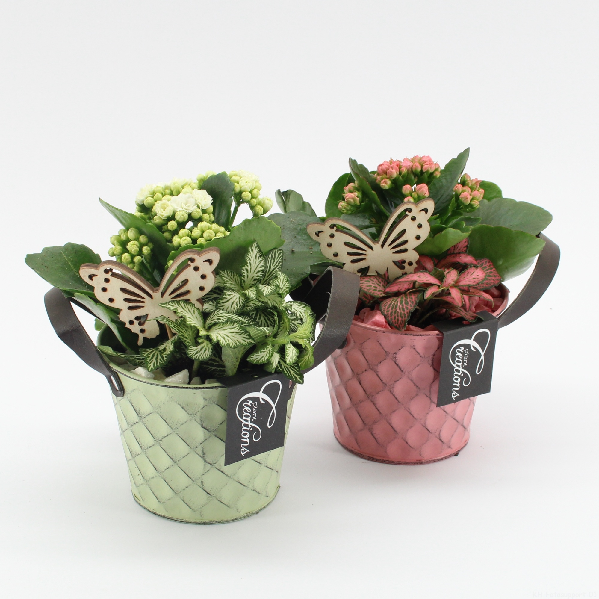 MDCR-2636M Mother's day Essentials, D 12