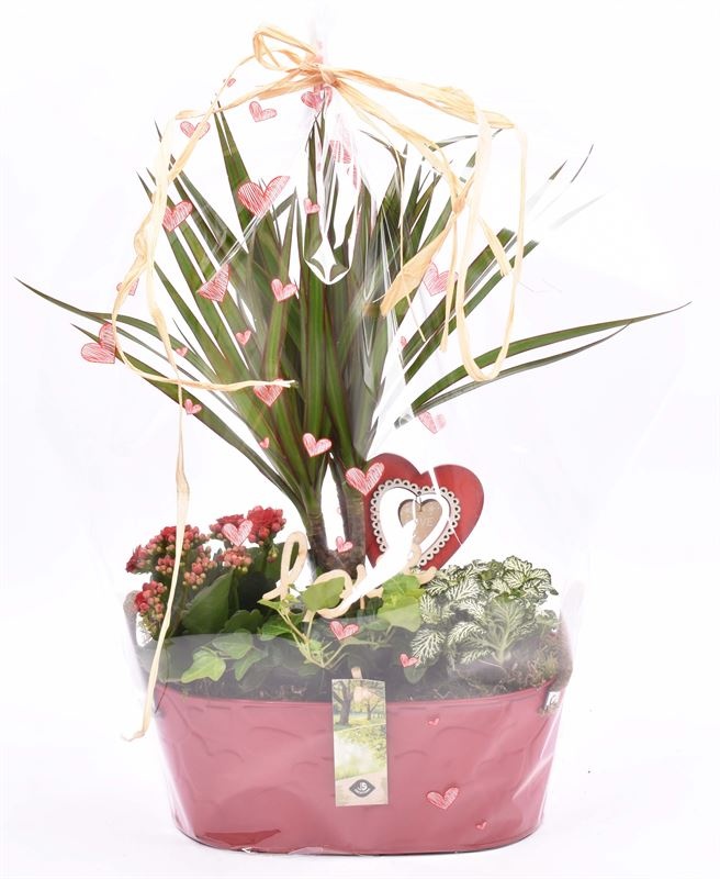 Zink ovaal rood hart decor 28x15cm, D 28