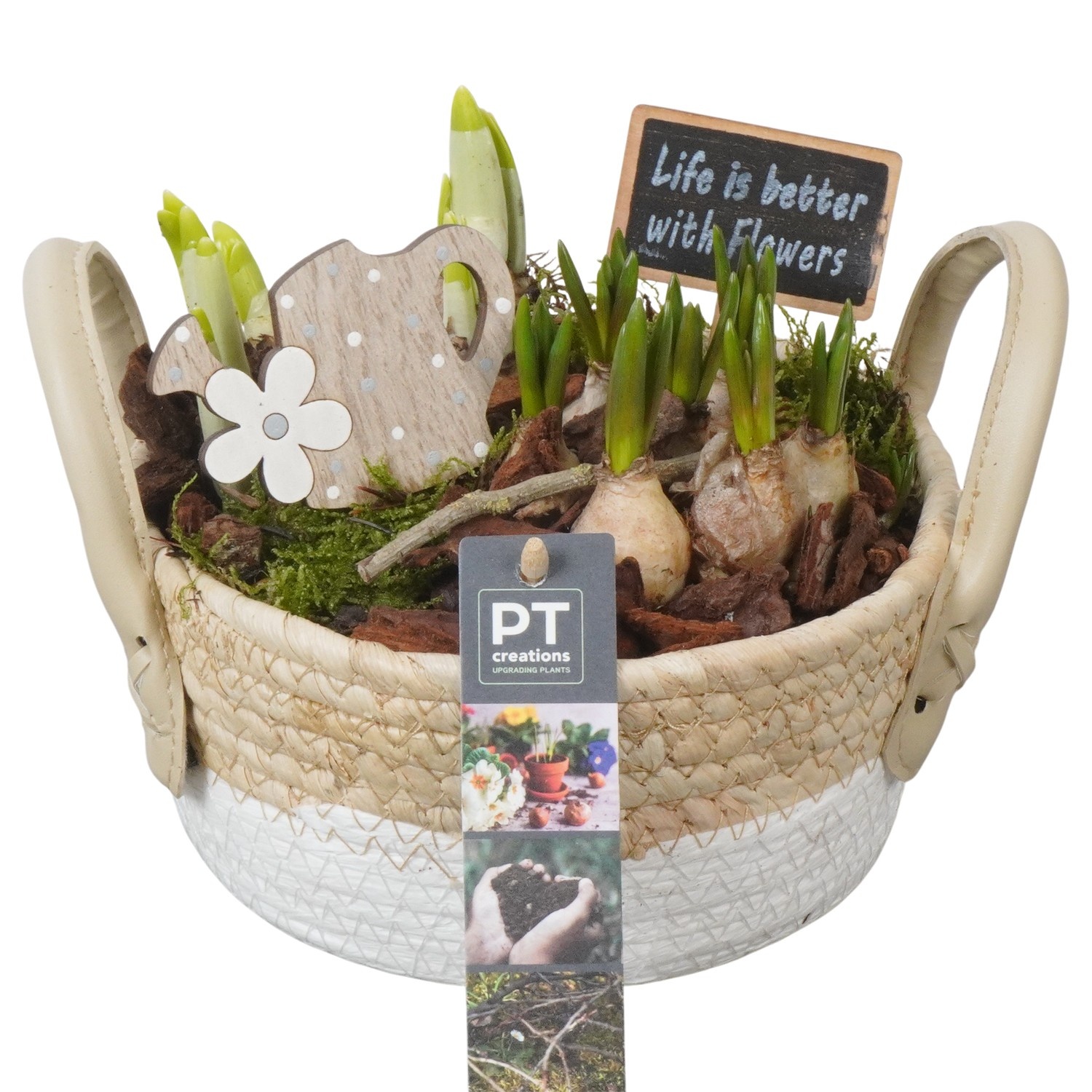 PTBM3820 Arrangement Flower Bulbs Mix in rieten mand, D 17
