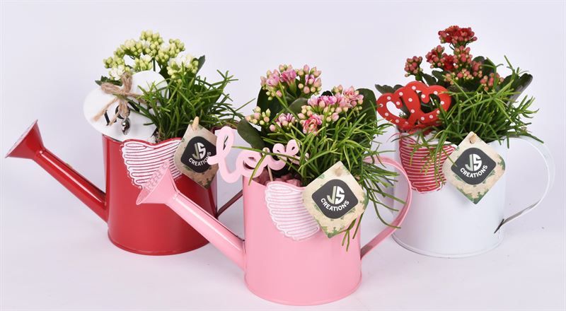 Zink gieter mix hart 10cm, D 10