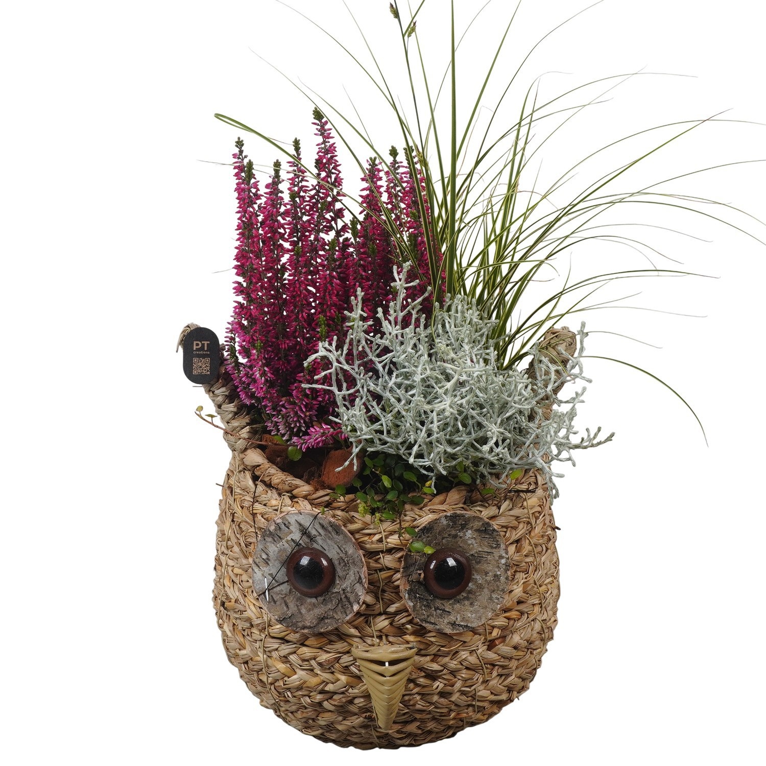 PTHO7639 Arrangement Autumn Outdoor in rieten mand in uil vorm, D 19