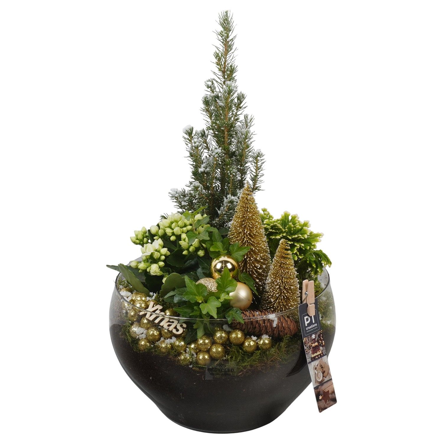 PTCHG5766 Arrangement Christmas Gold in glas schaal, D 23 cm