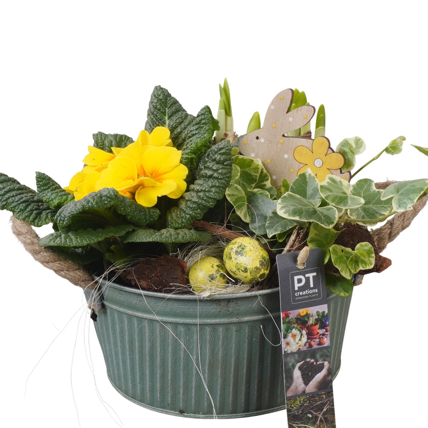PTBMP5669 Arrangement Easter Bulbs Mix in zink pot, D 19