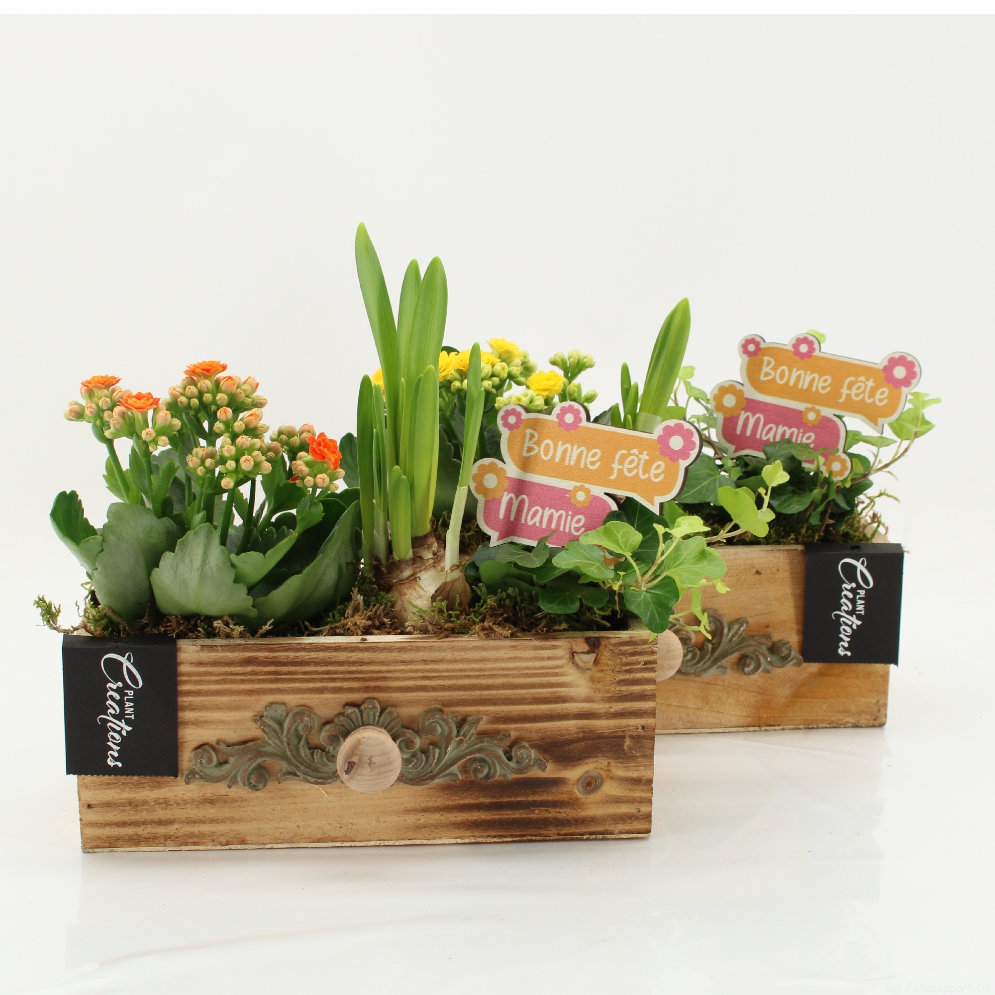 FGCR-2609 Fête des grands-mères, D 21