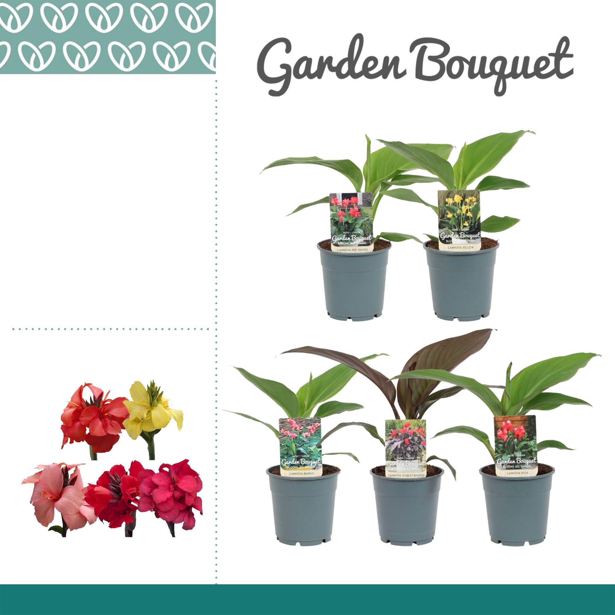 Canna Mix Zonder Bloem, D 12