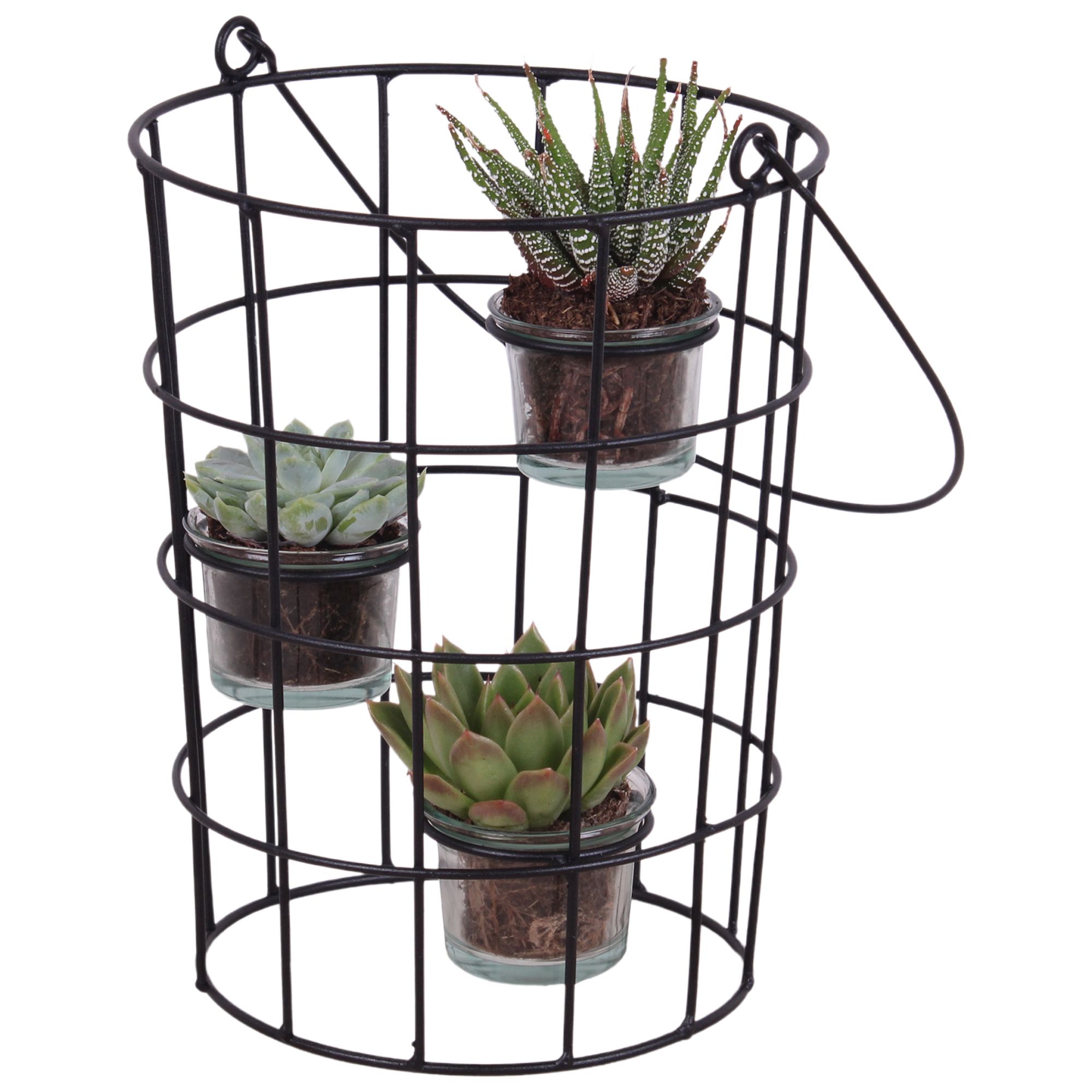 Succulent Metal Wirebasket With Glass 18cm 3pp, D 18