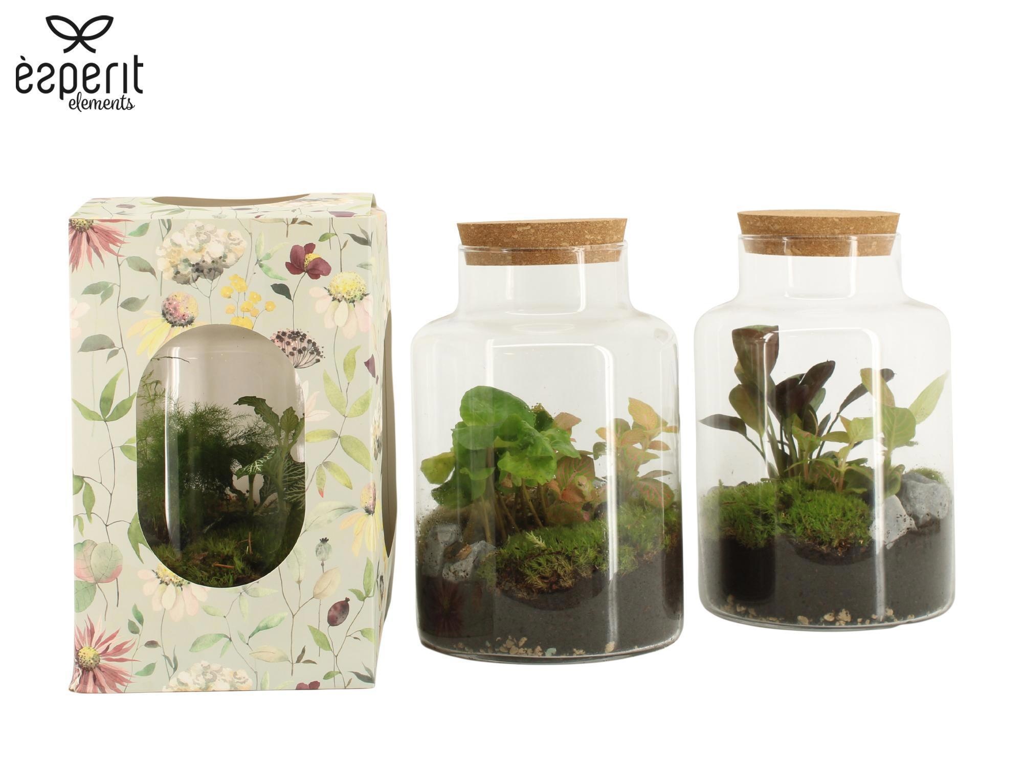 90922: Terrarium arrangement, D 17