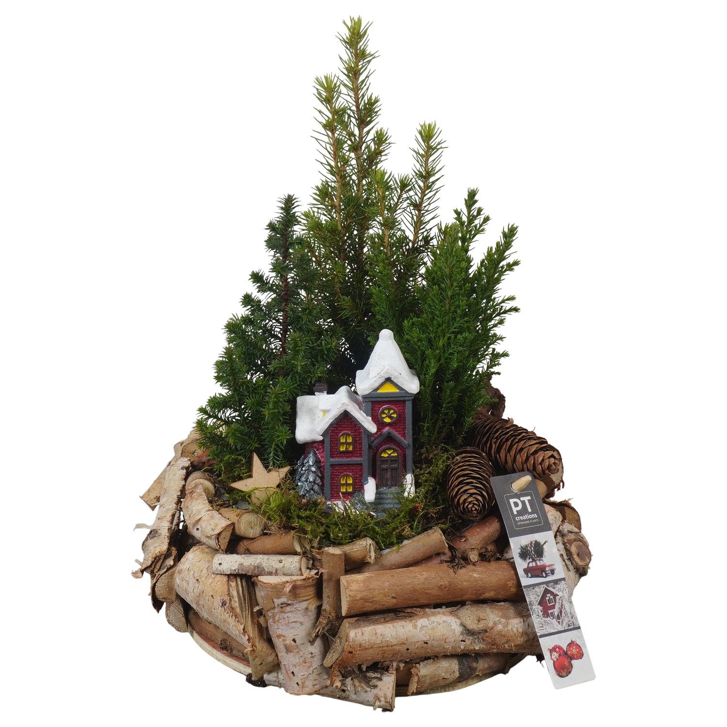 PTCWW6867 Arrangement Winter in houten bak, D 23 cm