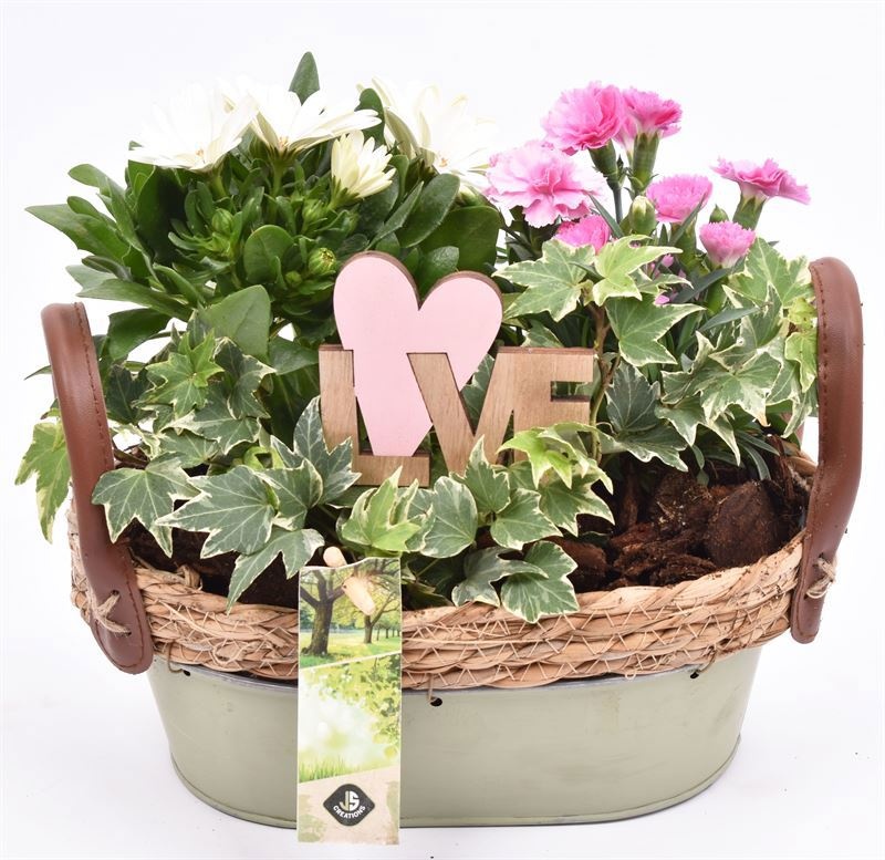 Zink ovaal groen met jute 25x15cm, D 25